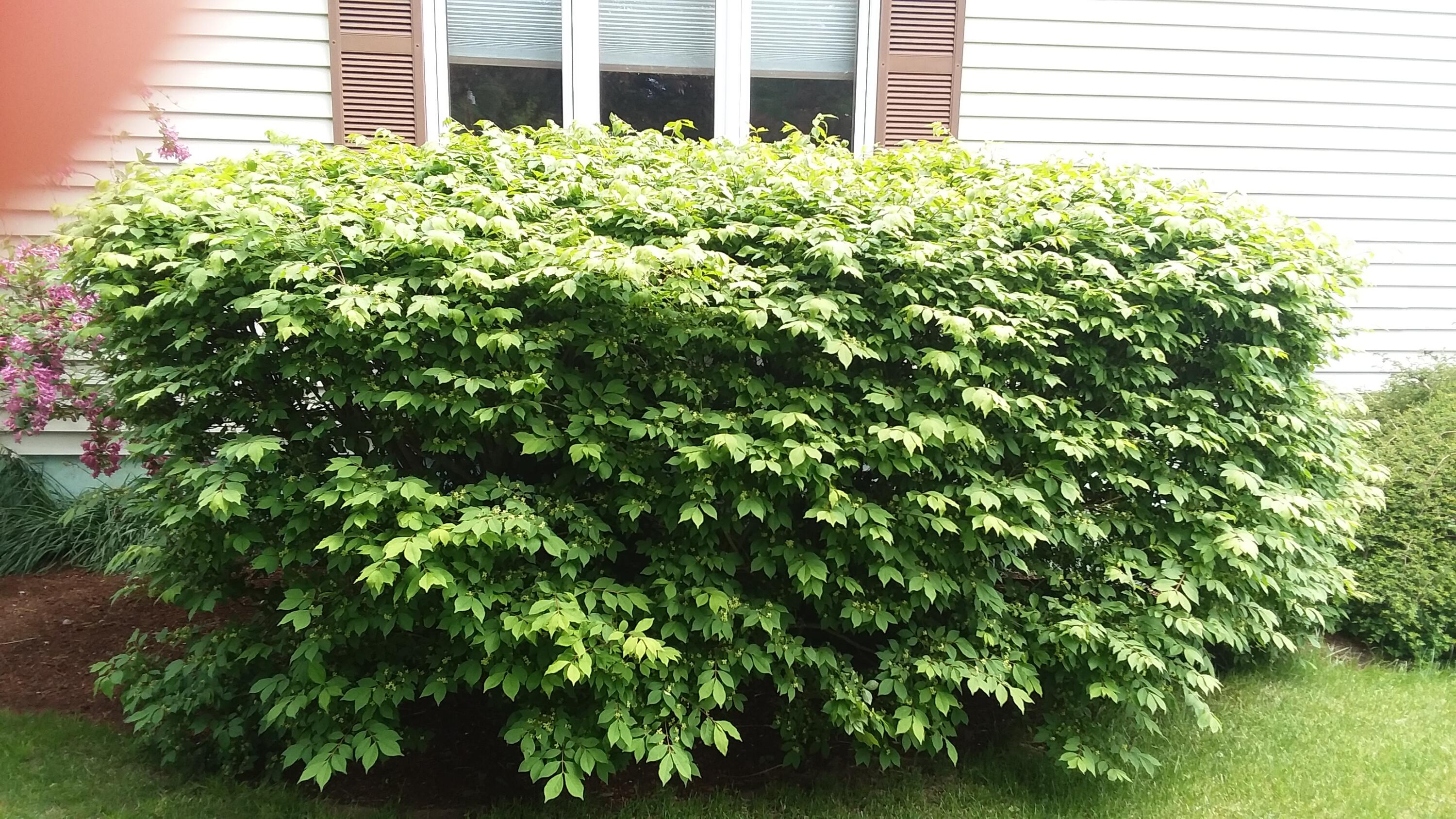 71 Upper-Charleston Road Charleston, ME 04422 - Photo 137 of 184 20210530_122628