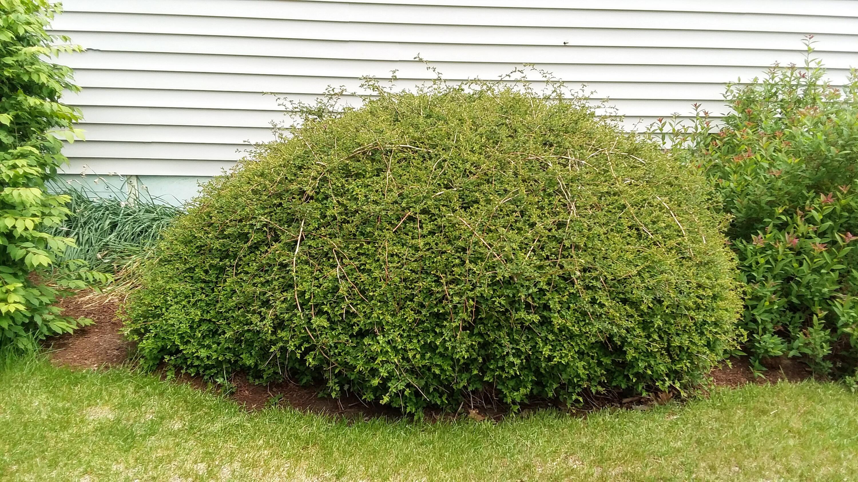 71 Upper-Charleston Road Charleston, ME 04422 - Photo 138 of 184 20210530_122639