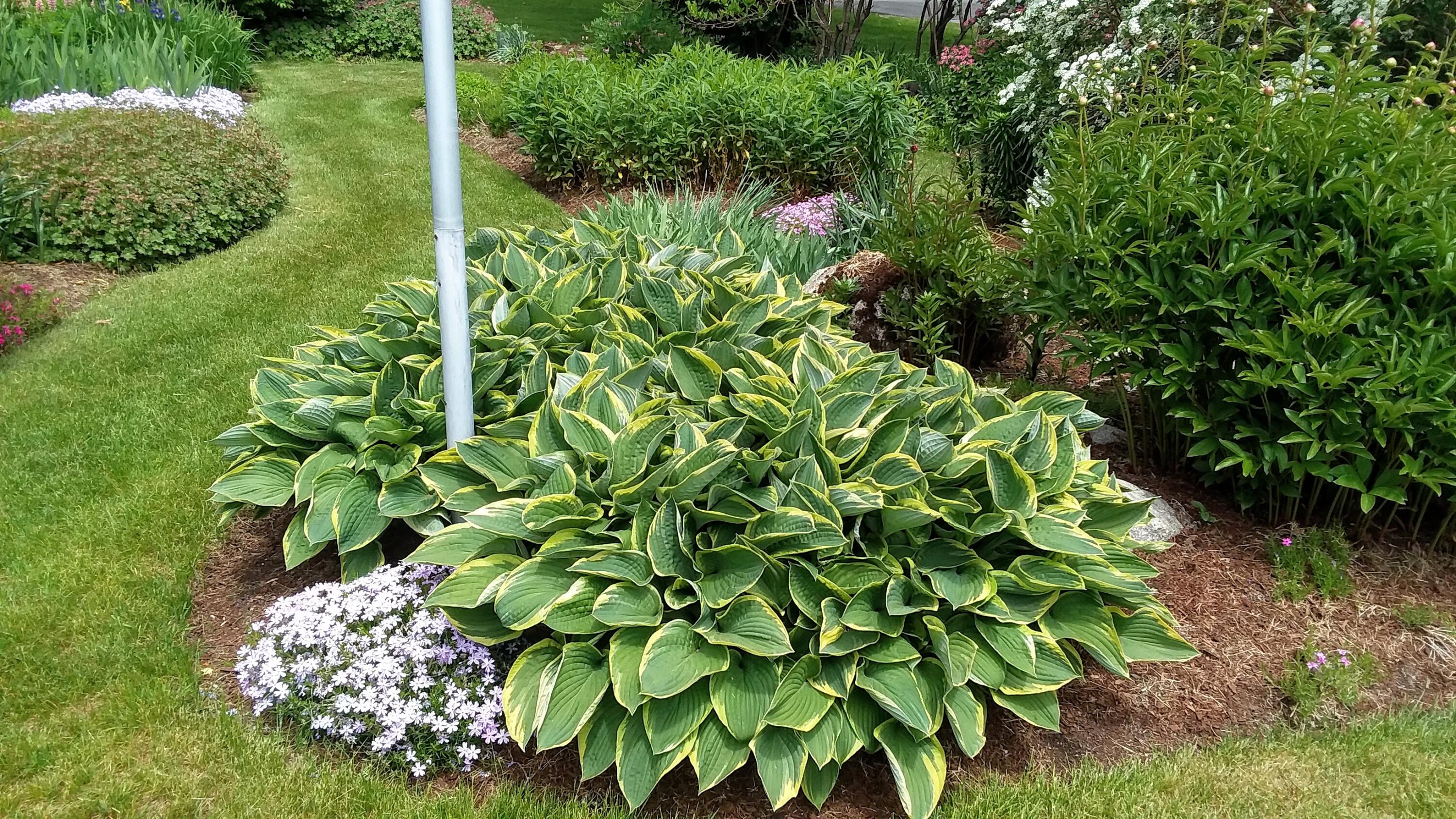 71 Upper-Charleston Road Charleston, ME 04422 - Photo 14 of 184 20210530_122300