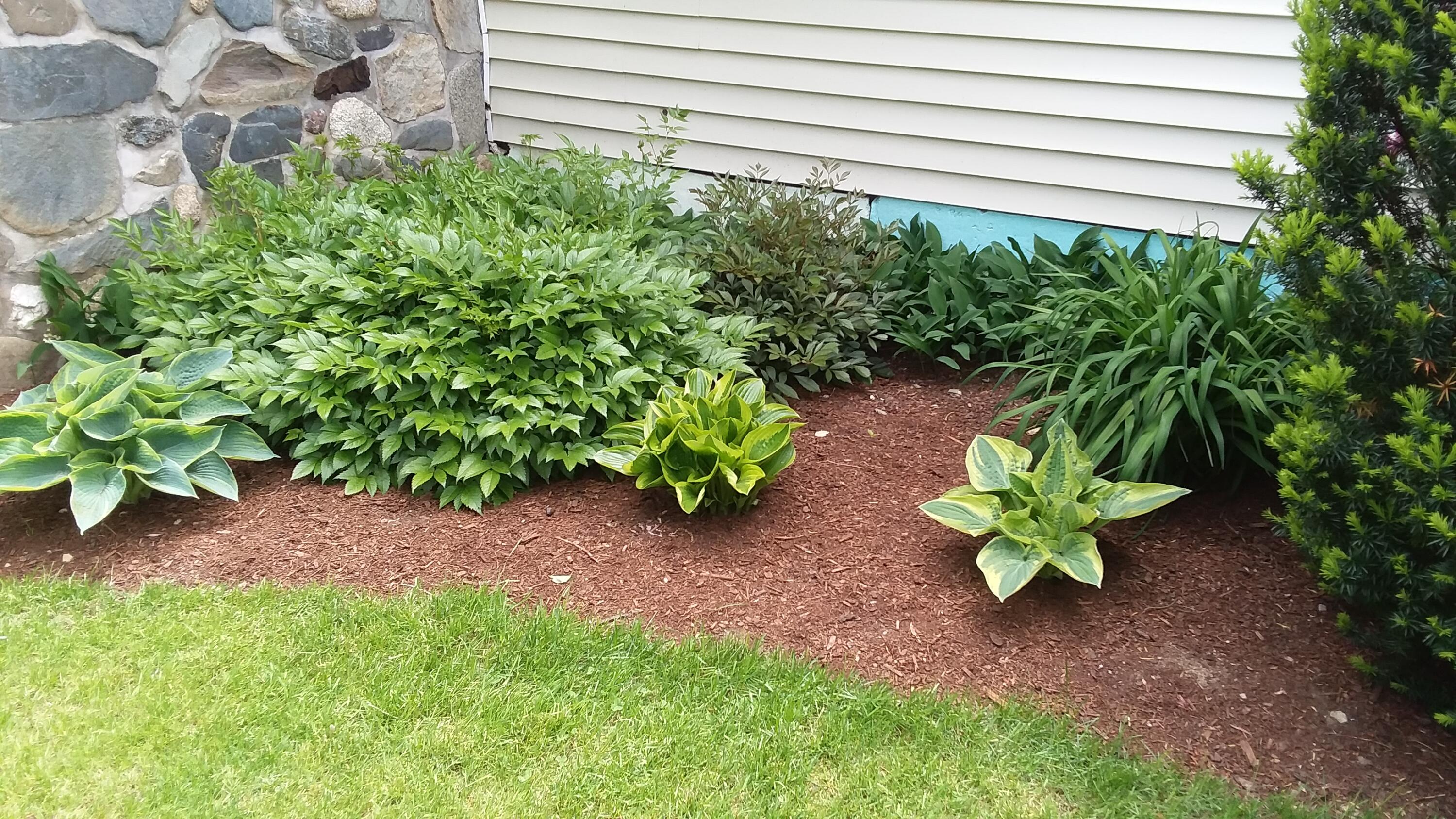 71 Upper-Charleston Road Charleston, ME 04422 - Photo 141 of 184 20210530_122936