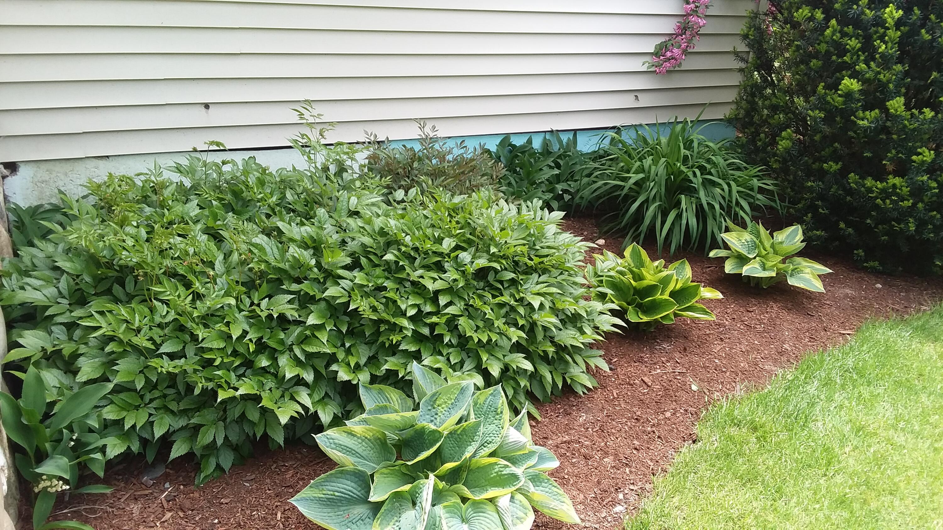 71 Upper-Charleston Road Charleston, ME 04422 - Photo 142 of 184 20210530_122954