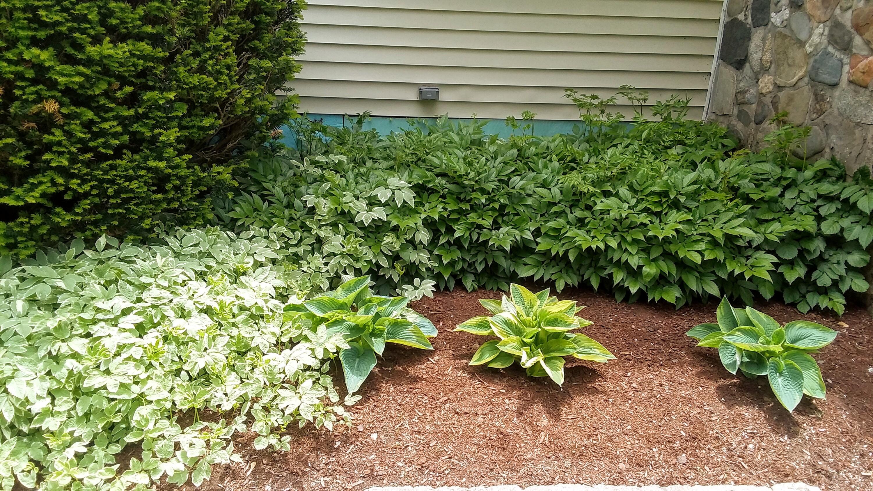 71 Upper-Charleston Road Charleston, ME 04422 - Photo 144 of 184 20210530_123026