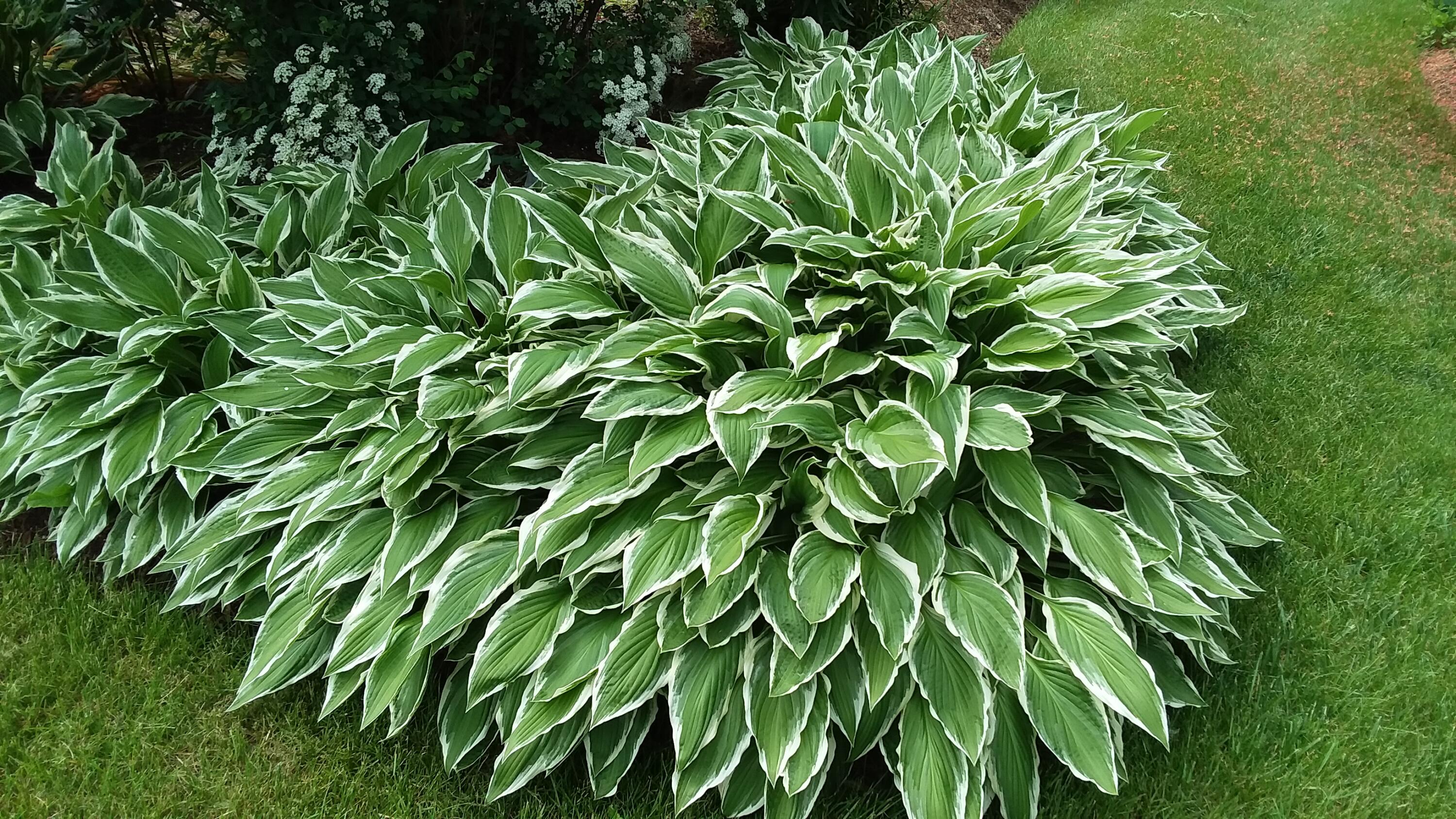 71 Upper-Charleston Road Charleston, ME 04422 - Photo 145 of 184 20210603_144121