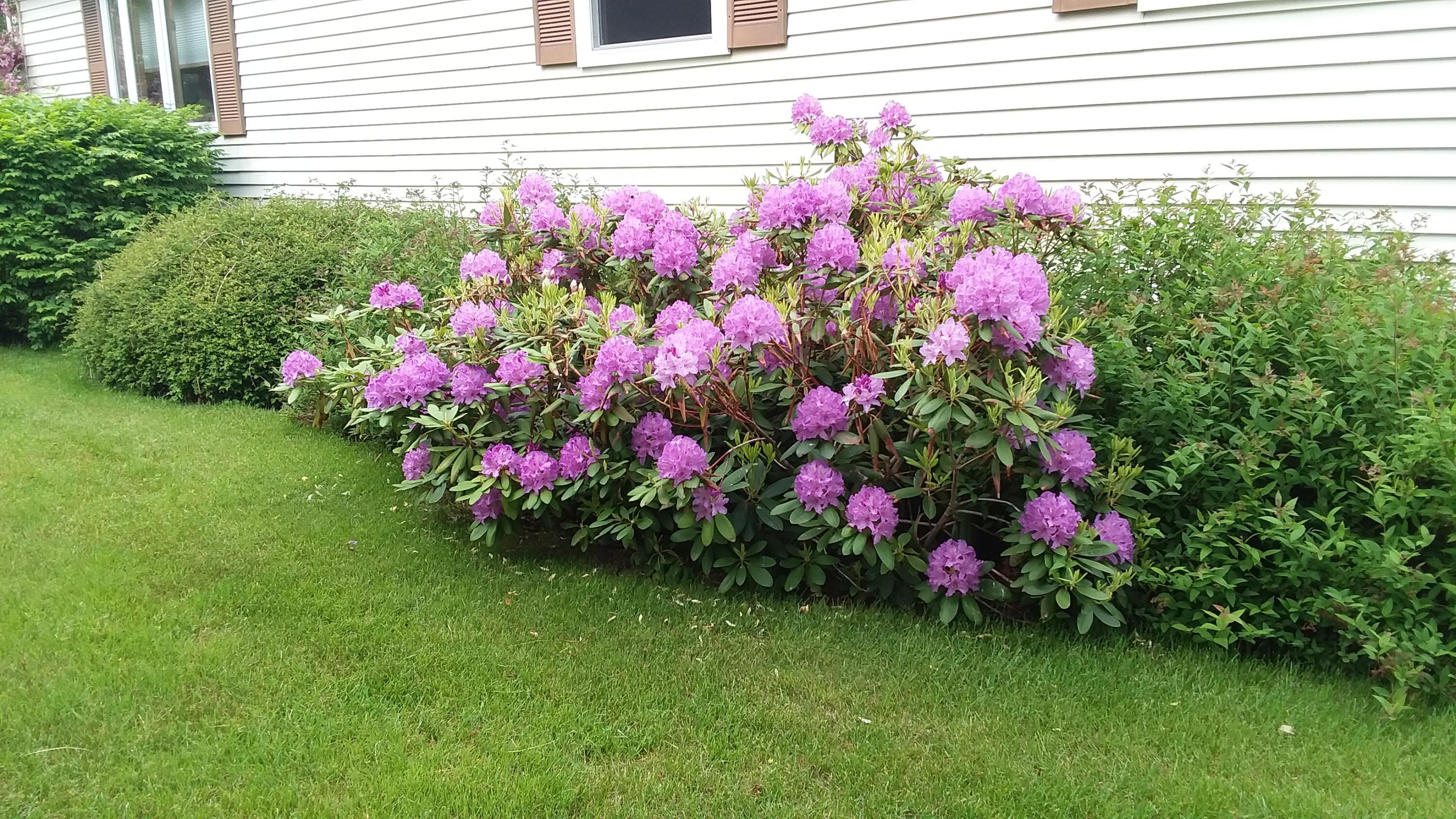 71 Upper-Charleston Road Charleston, ME 04422 - Photo 146 of 184 20210603_154229