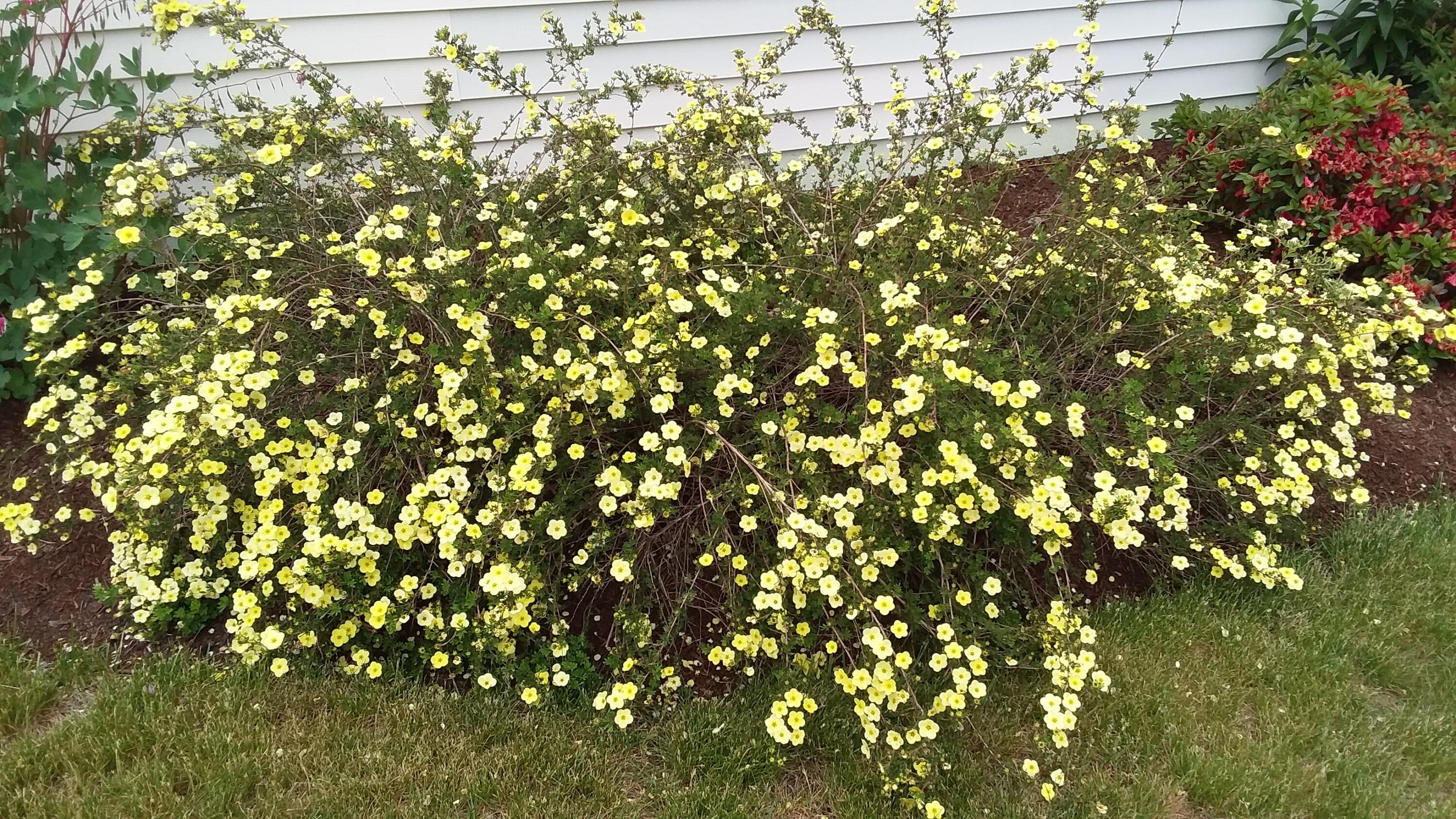 71 Upper-Charleston Road Charleston, ME 04422 - Photo 150 of 184 20210603_154709