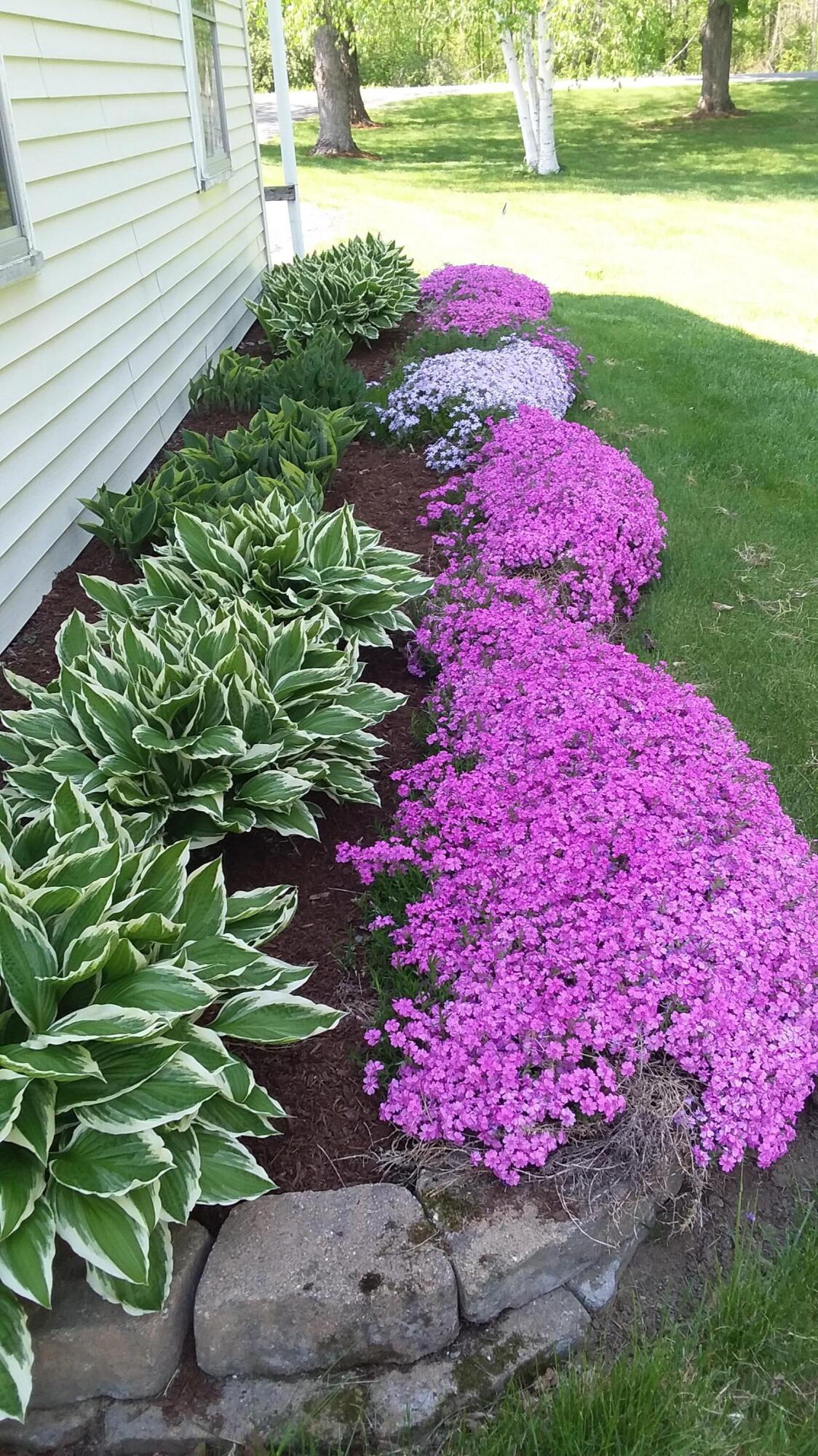 71 Upper-Charleston Road Charleston, ME 04422 - Photo 15 of 184 20210520_145101