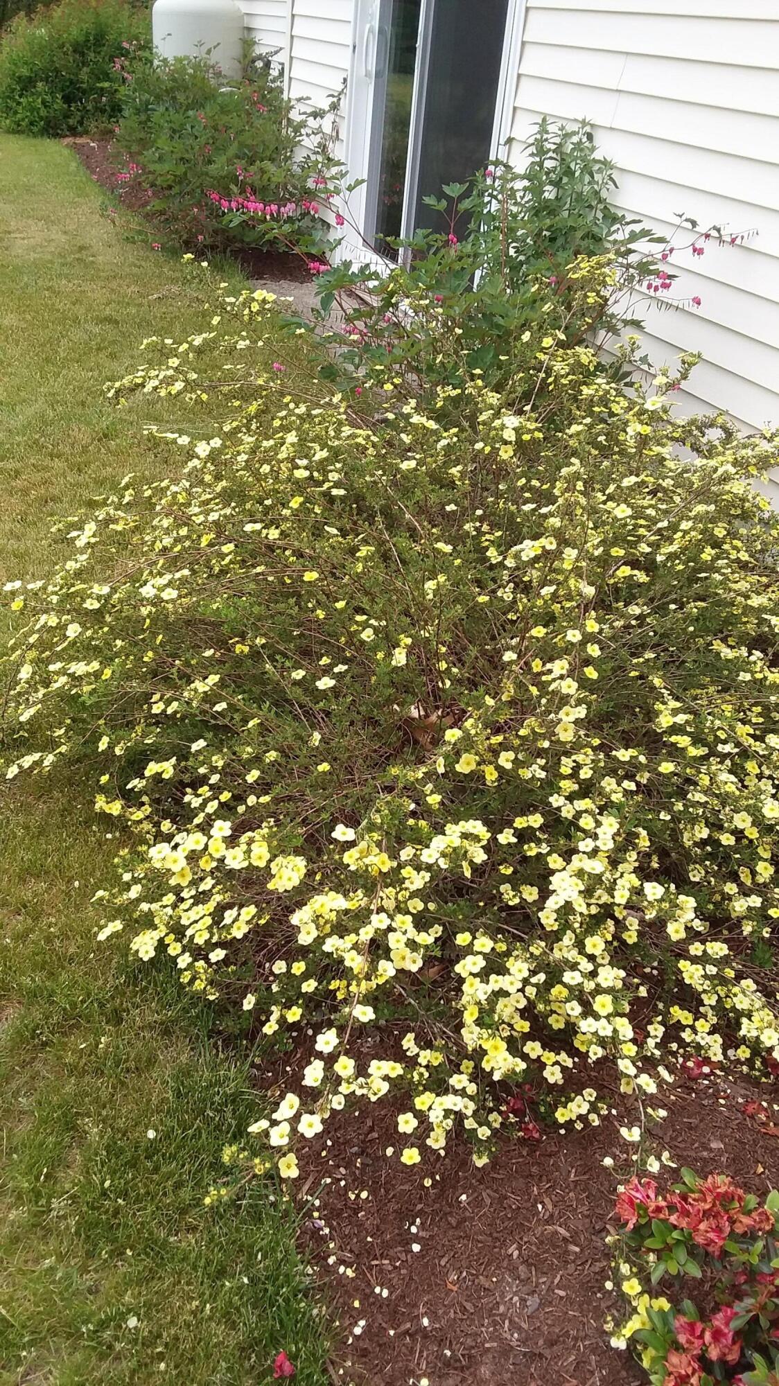 71 Upper-Charleston Road Charleston, ME 04422 - Photo 151 of 184 20210603_154731