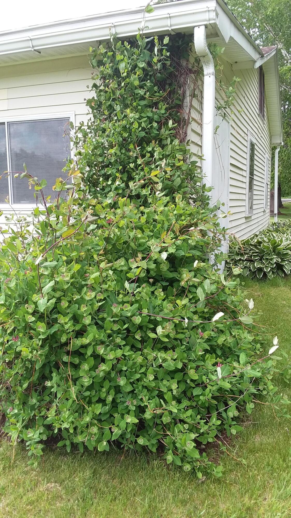 71 Upper-Charleston Road Charleston, ME 04422 - Photo 152 of 184 20210603_154806