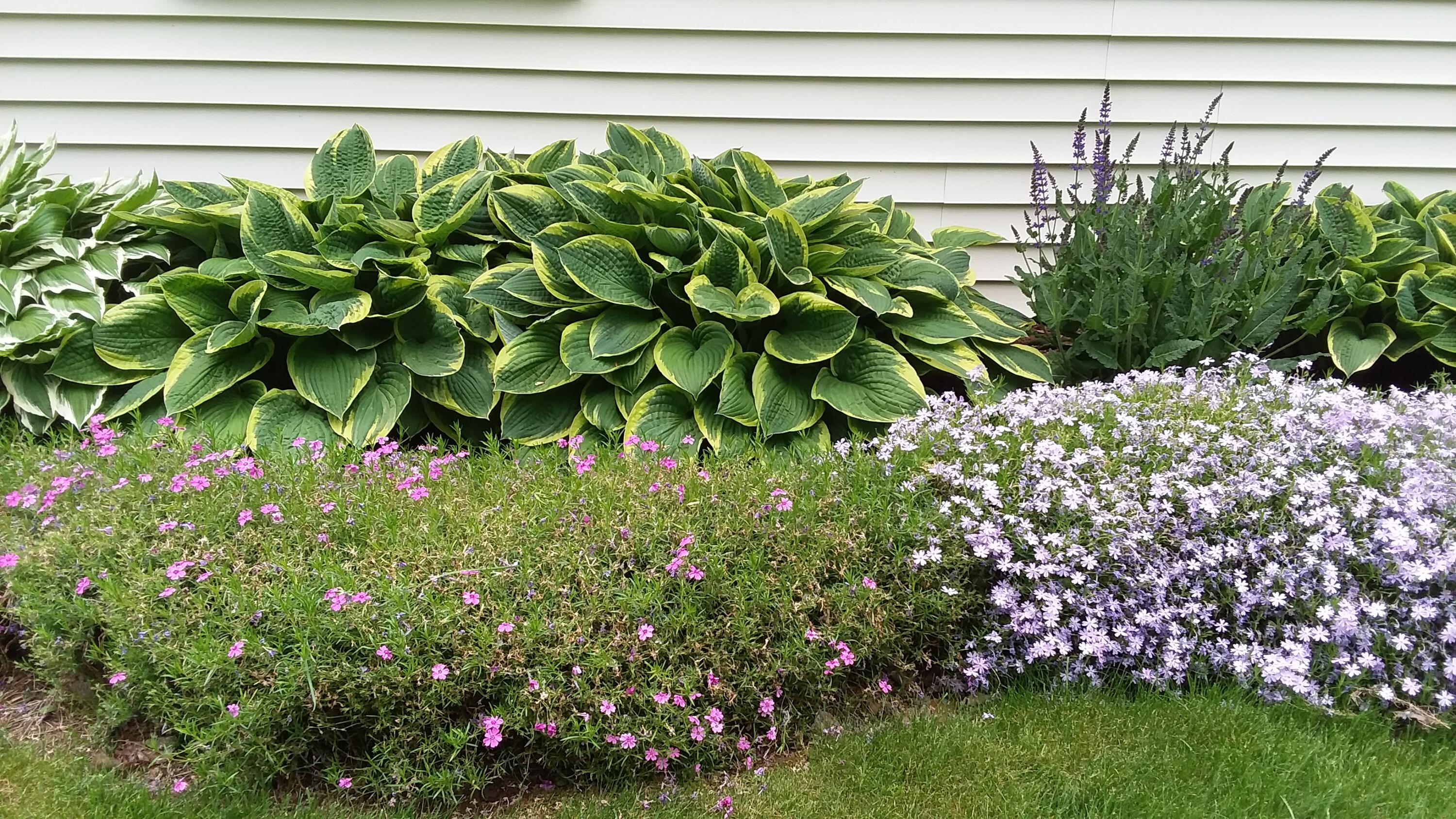 71 Upper-Charleston Road Charleston, ME 04422 - Photo 153 of 184 20210603_154831