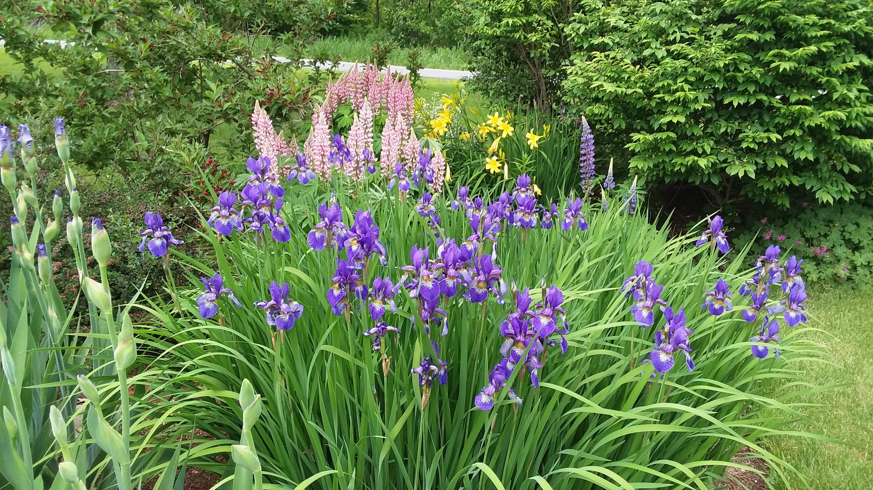 71 Upper-Charleston Road Charleston, ME 04422 - Photo 154 of 184 20210603_155309