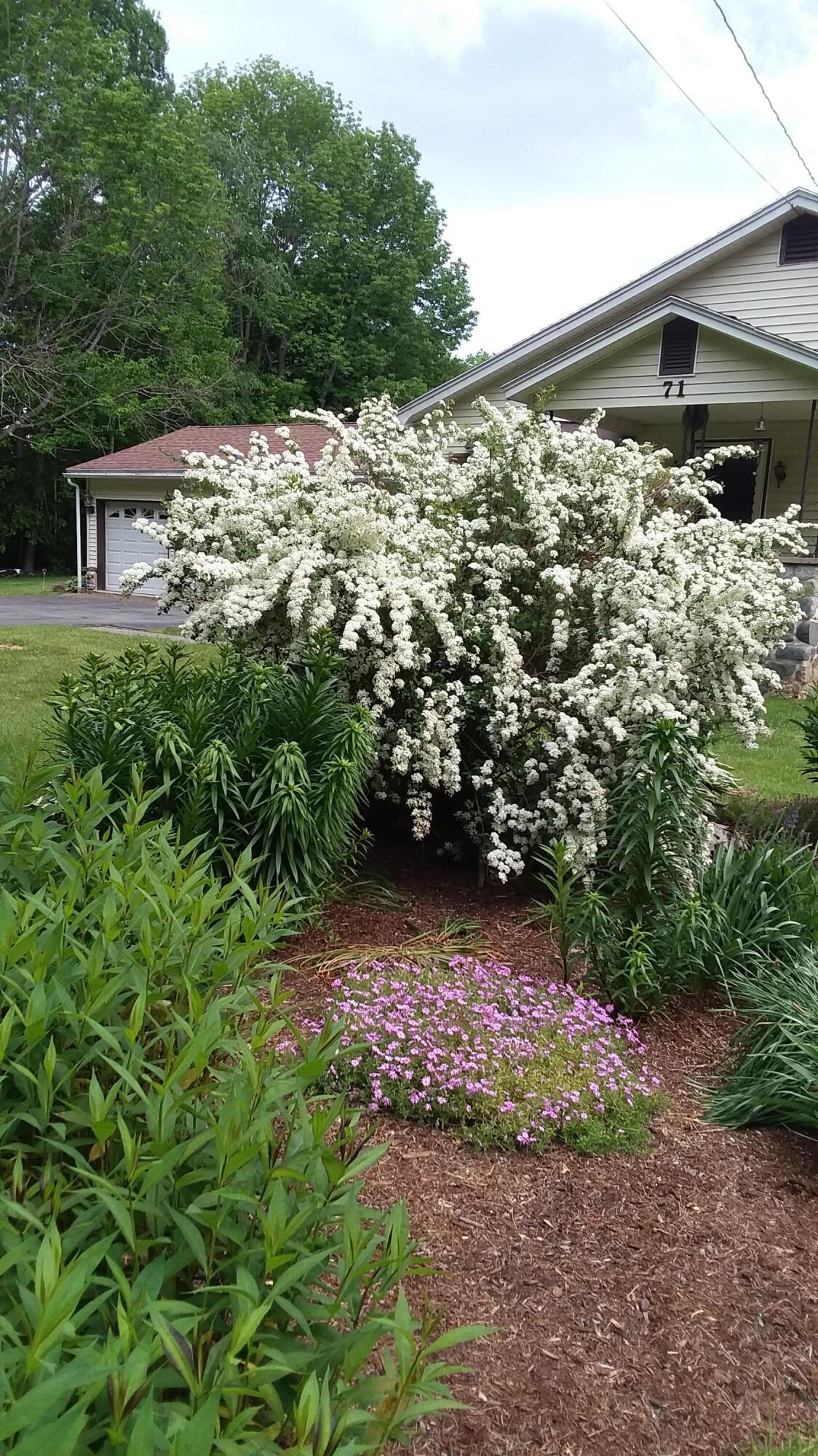 71 Upper-Charleston Road Charleston, ME 04422 - Photo 155 of 184 20210603_155510