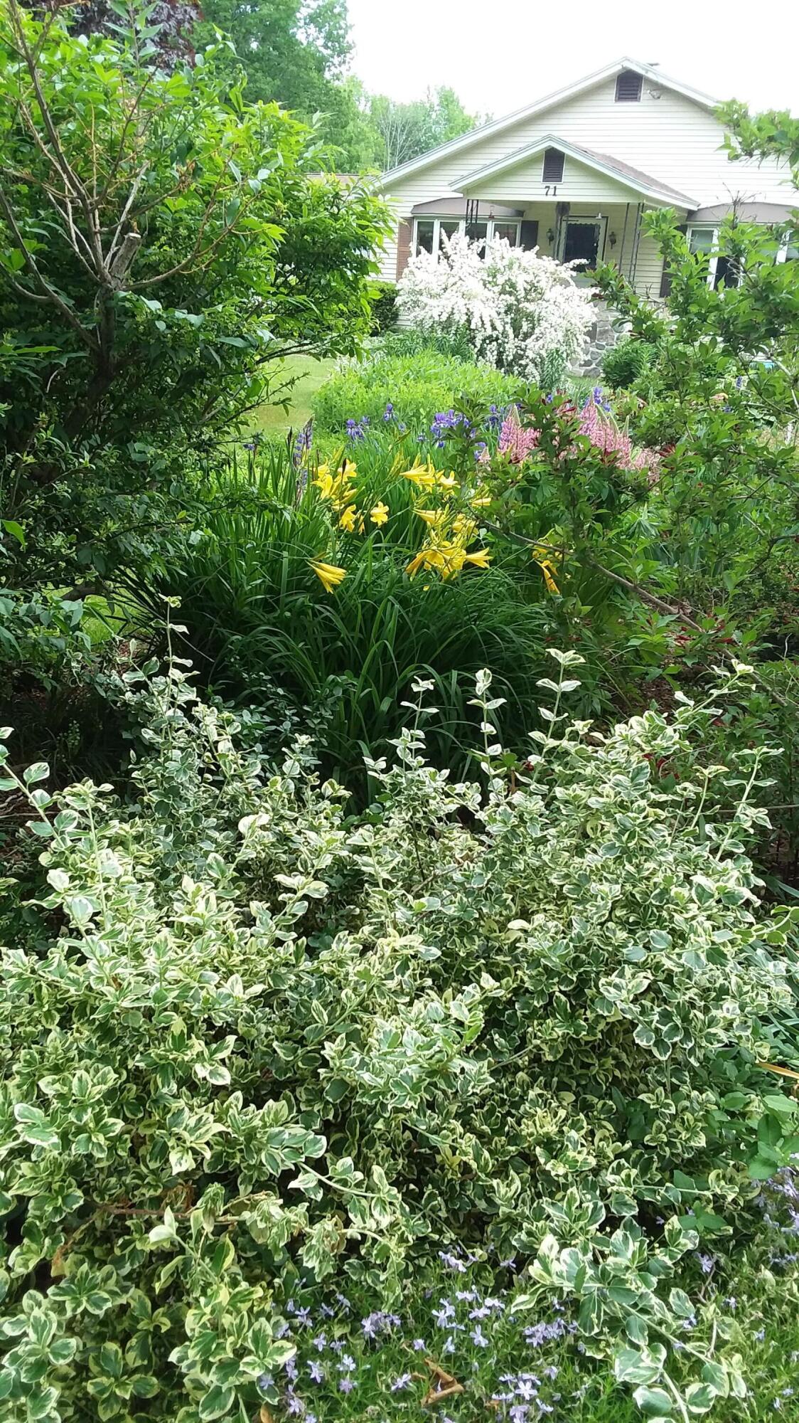 71 Upper-Charleston Road Charleston, ME 04422 - Photo 157 of 184 20210603_155828