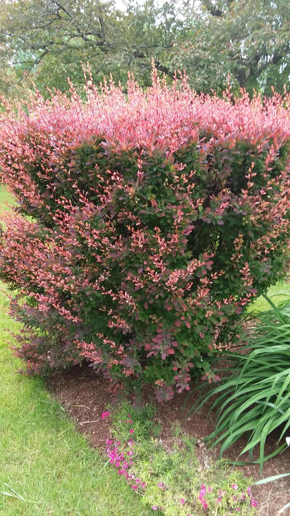 71 Upper-Charleston Road Charleston, ME 04422 - Photo 158 of 184 20210603_160024