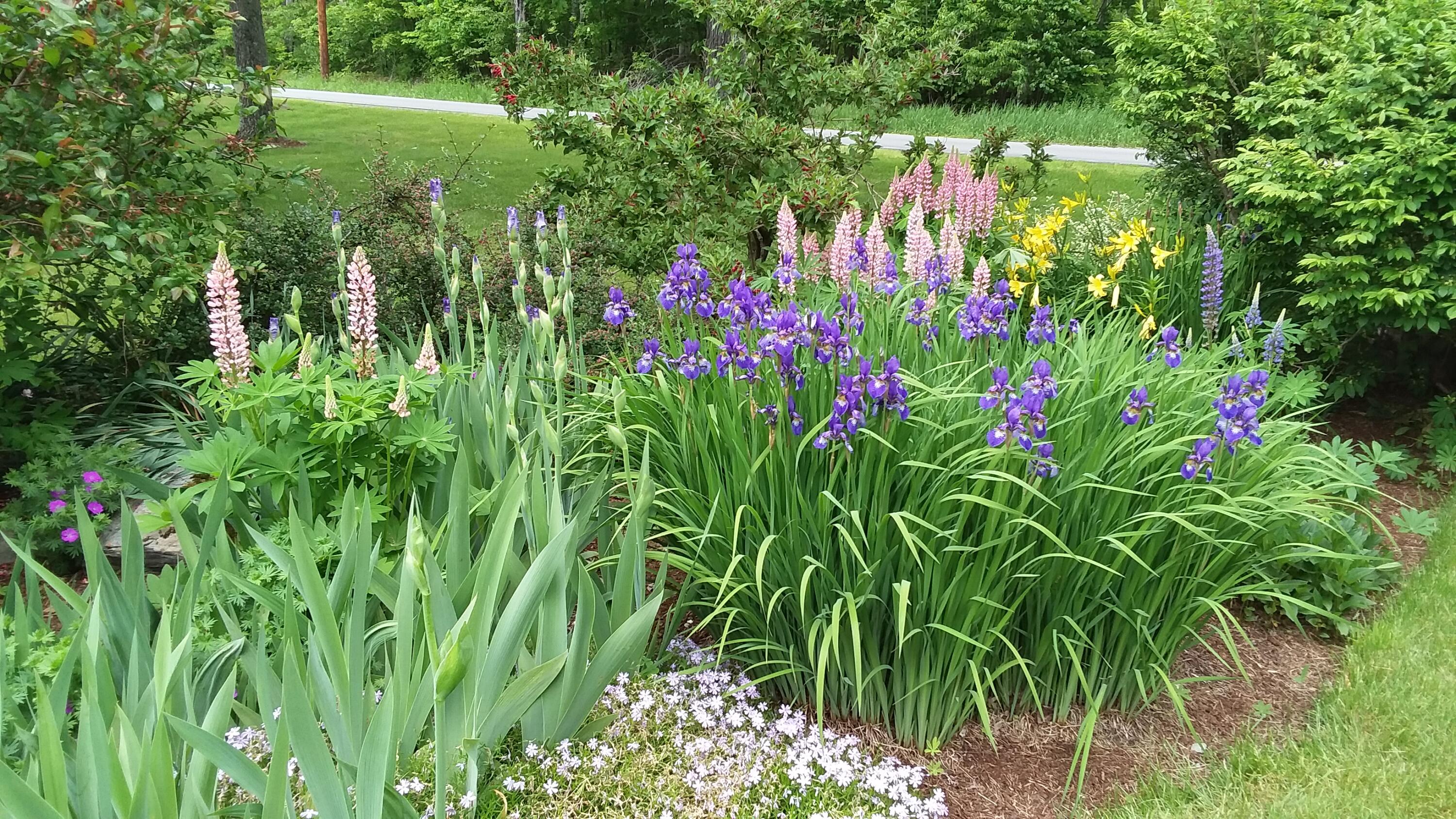 71 Upper-Charleston Road Charleston, ME 04422 - Photo 159 of 184 20210603_160100