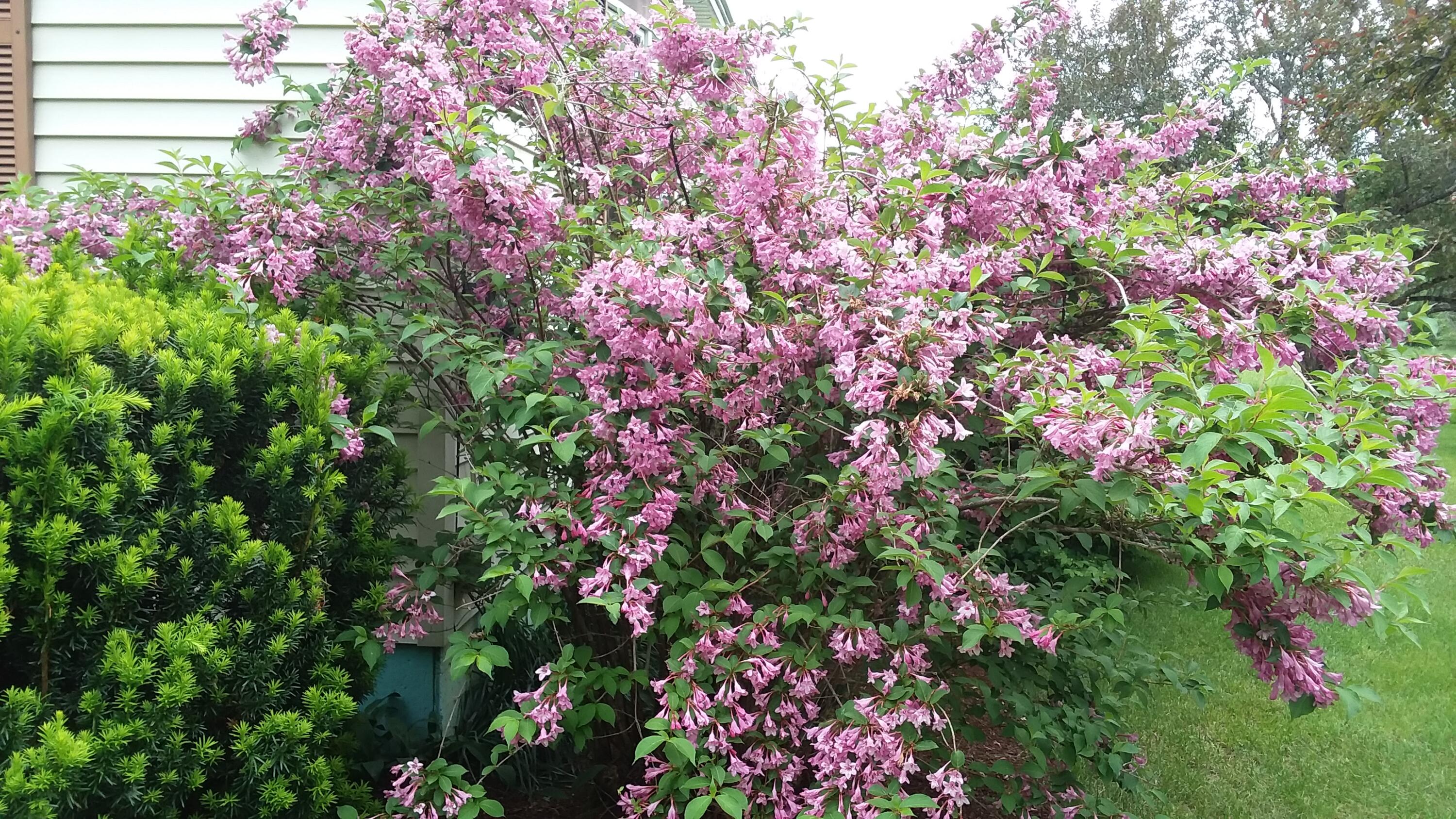 71 Upper-Charleston Road Charleston, ME 04422 - Photo 160 of 184 20210603_160355