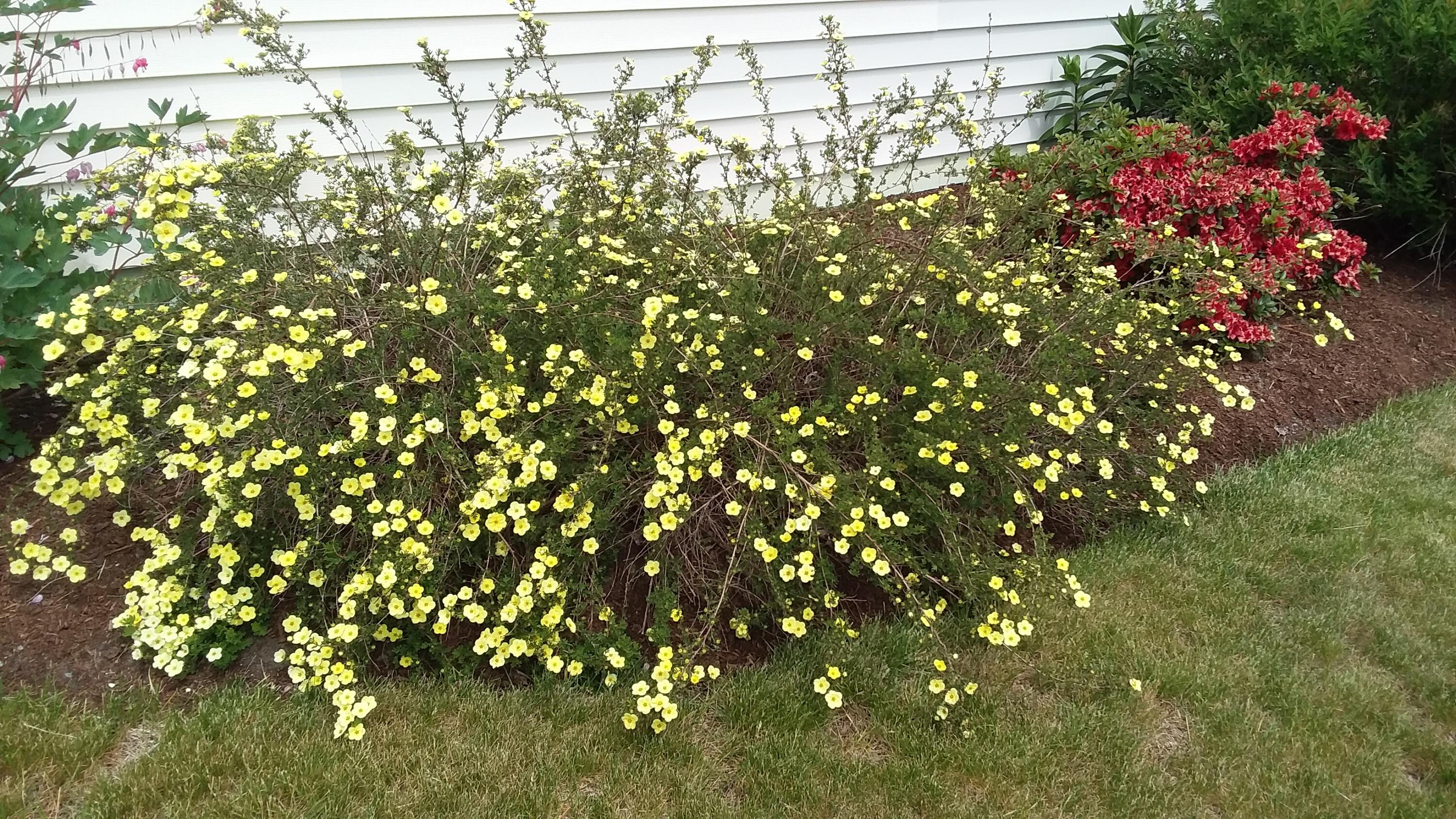 71 Upper-Charleston Road Charleston, ME 04422 - Photo 16 of 184 20210530_121552