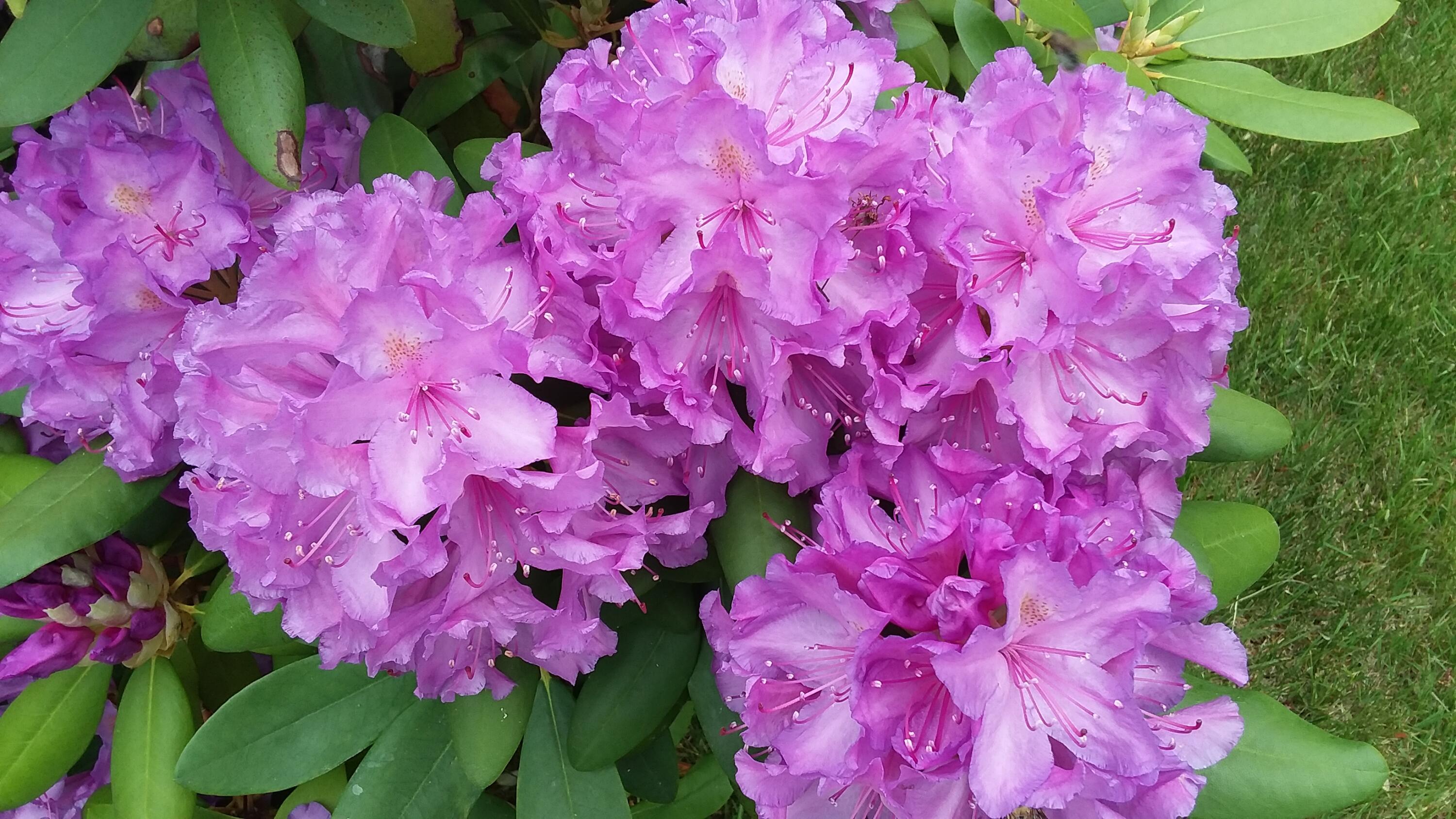 71 Upper-Charleston Road Charleston, ME 04422 - Photo 161 of 184 20210603_160452