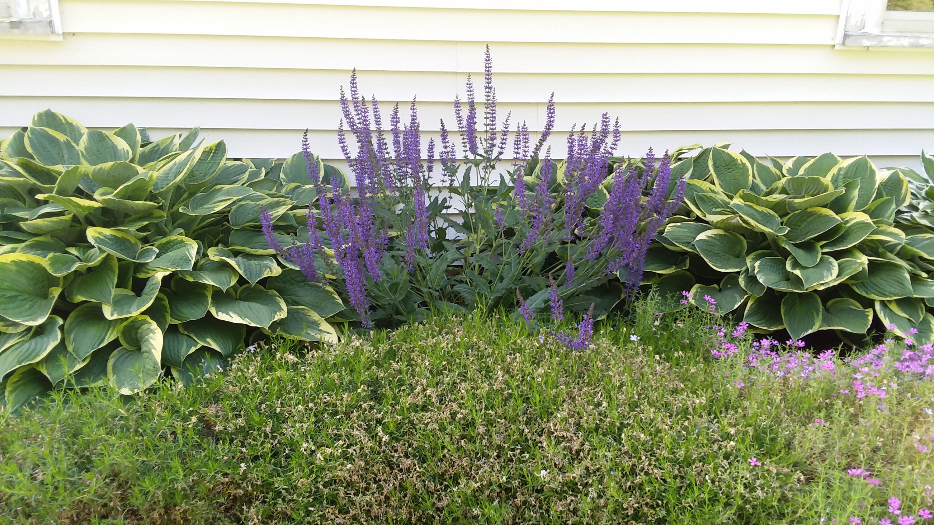 71 Upper-Charleston Road Charleston, ME 04422 - Photo 163 of 184 20210613_151844