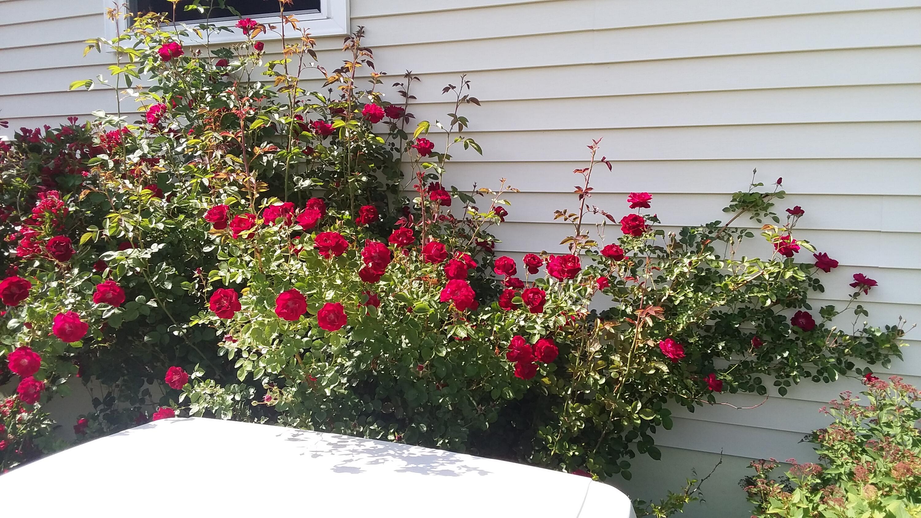 71 Upper-Charleston Road Charleston, ME 04422 - Photo 164 of 184 20210613_152142