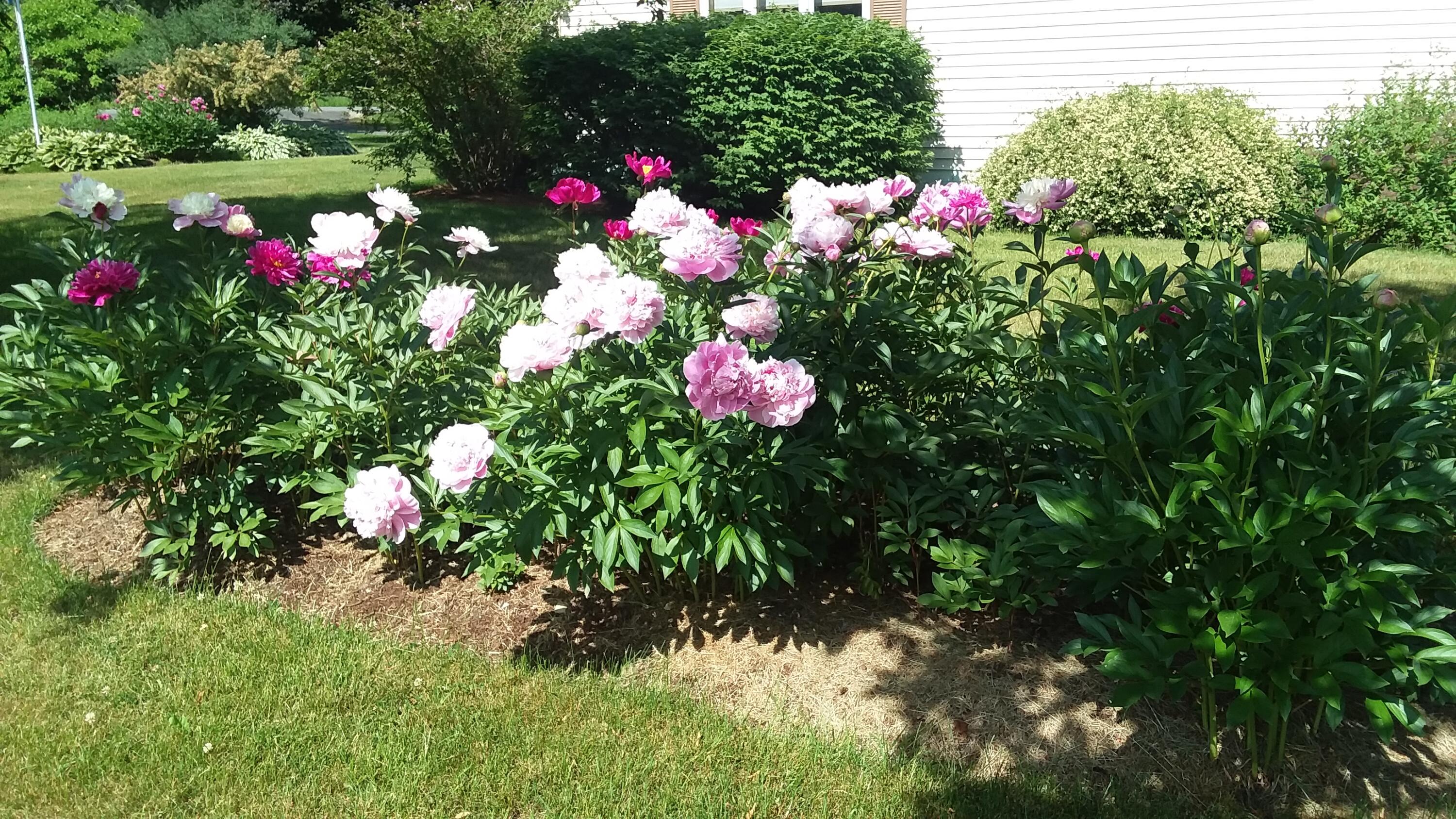 71 Upper-Charleston Road Charleston, ME 04422 - Photo 165 of 184 20210613_152250