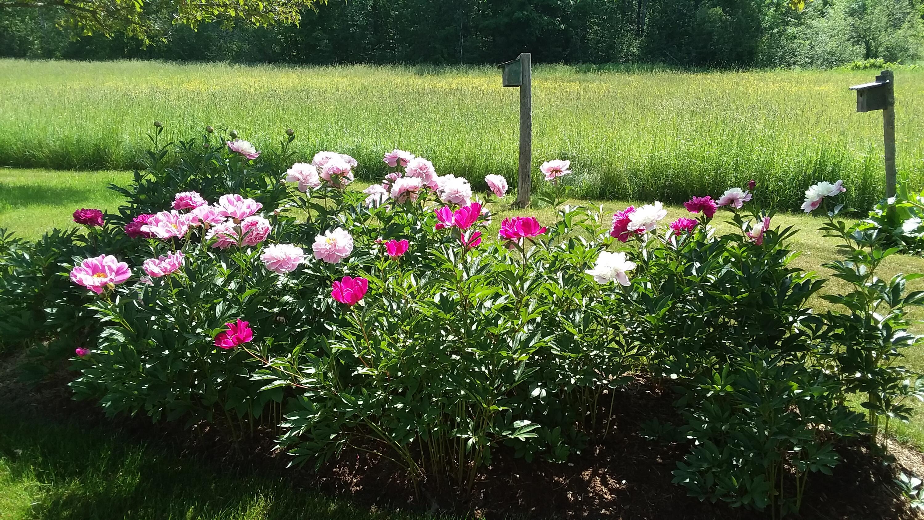 71 Upper-Charleston Road Charleston, ME 04422 - Photo 166 of 184 20210613_152431