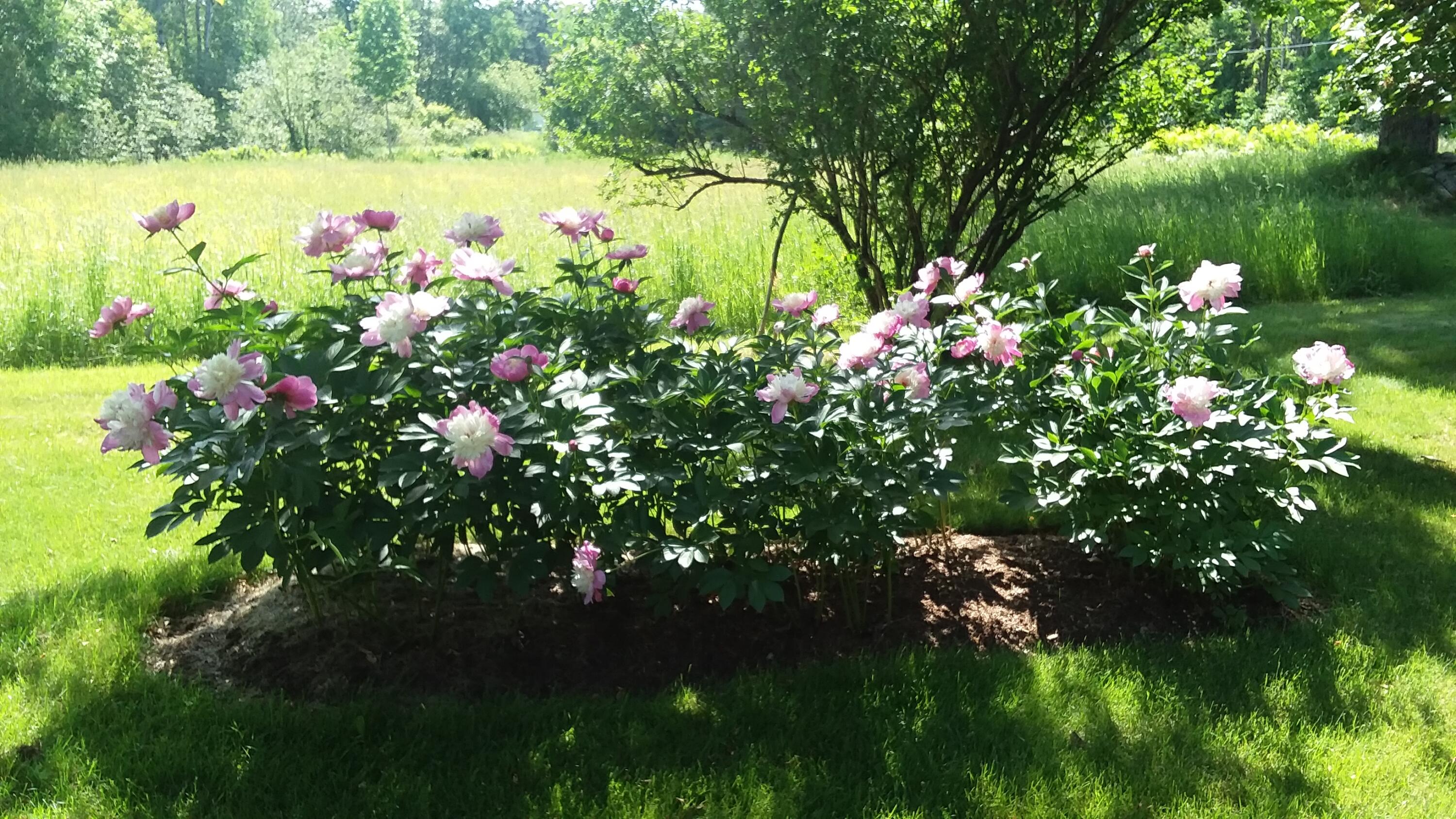 71 Upper-Charleston Road Charleston, ME 04422 - Photo 167 of 184 20210613_152512