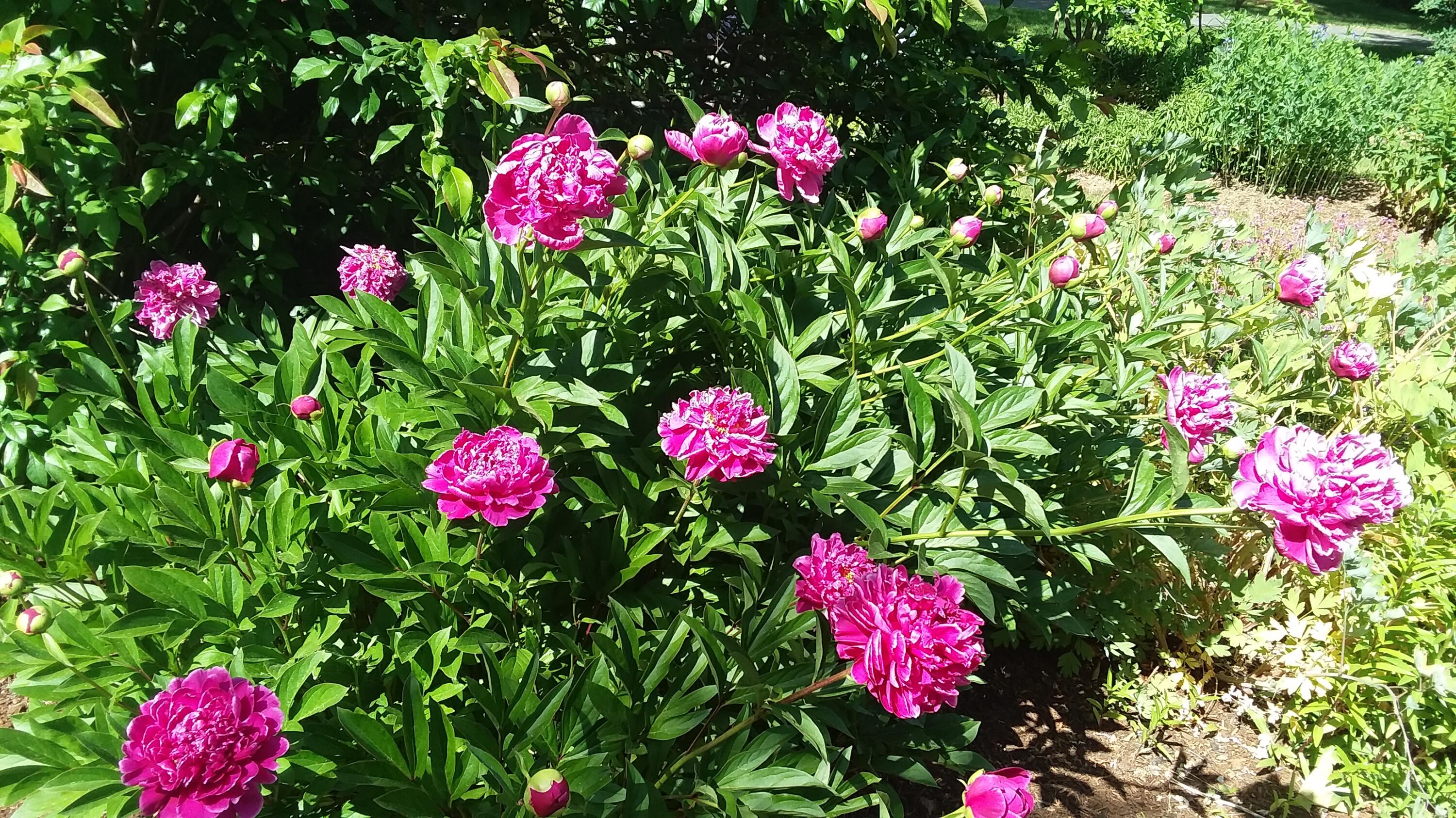 71 Upper-Charleston Road Charleston, ME 04422 - Photo 168 of 184 20210613_152522