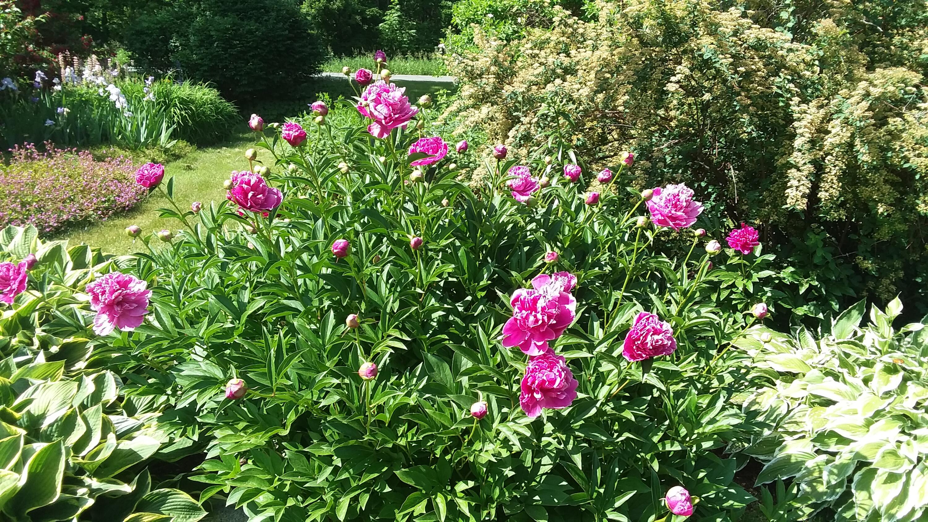 71 Upper-Charleston Road Charleston, ME 04422 - Photo 169 of 184 20210613_152541