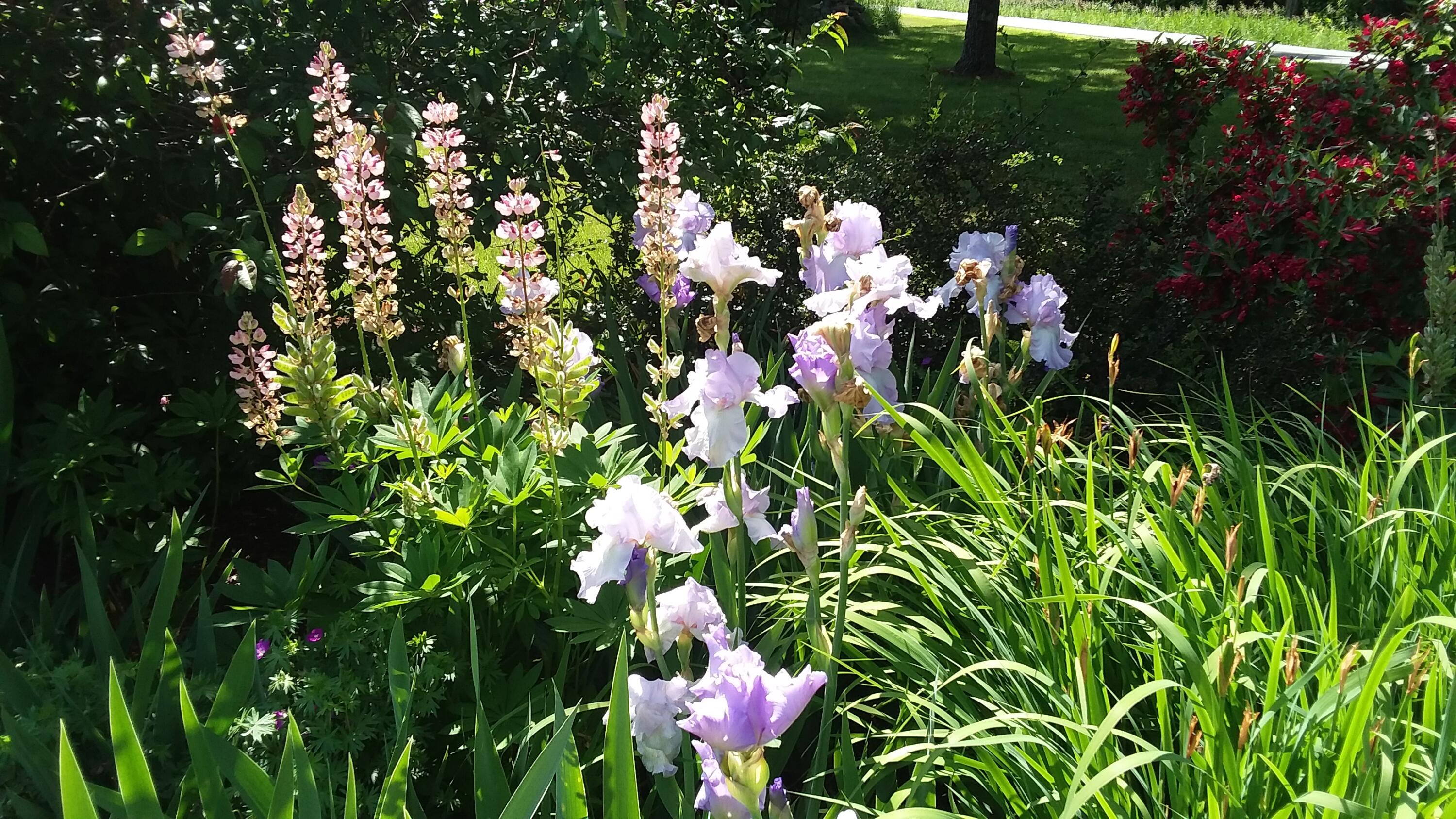 71 Upper-Charleston Road Charleston, ME 04422 - Photo 170 of 184 20210613_152601