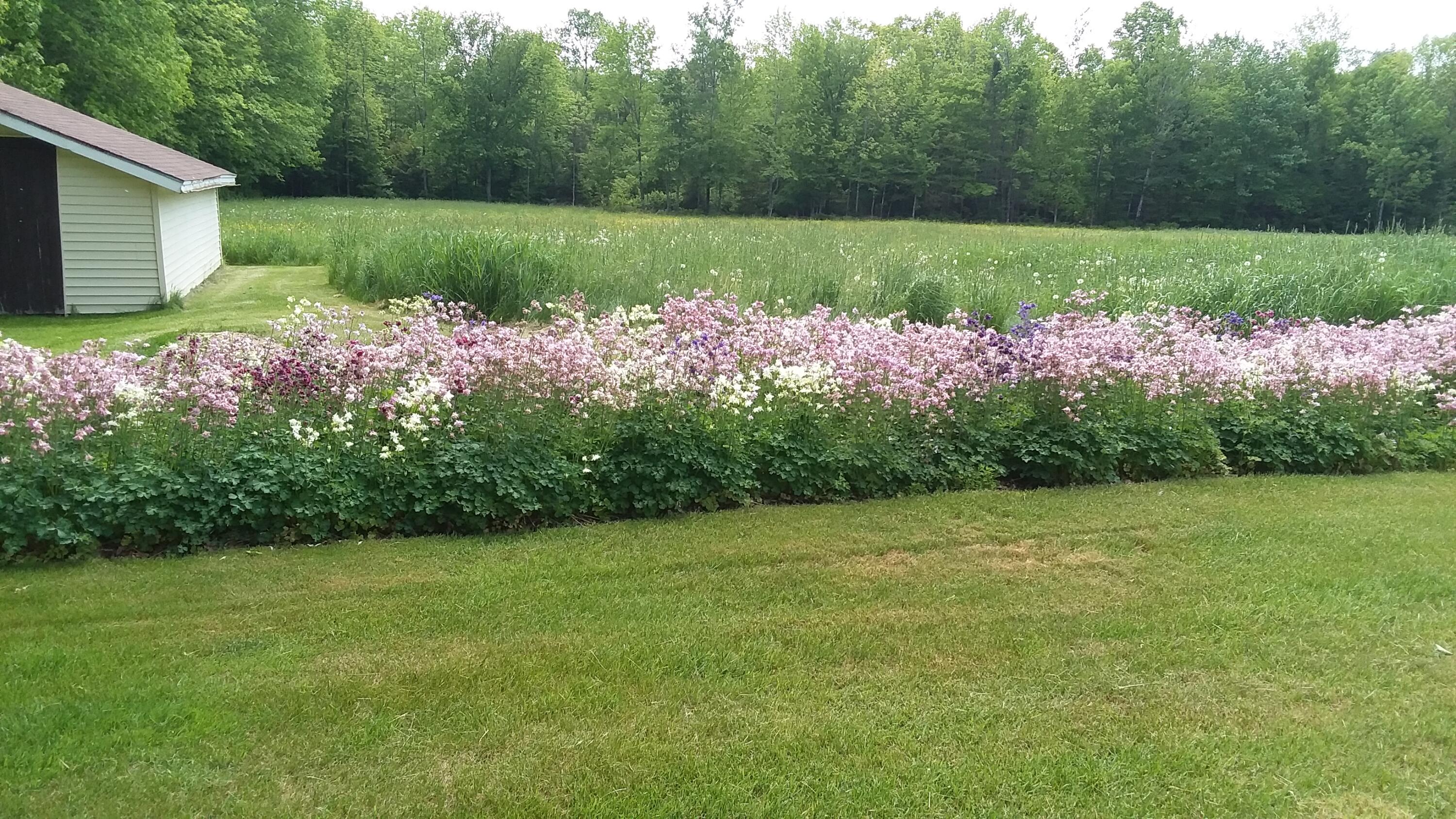 71 Upper-Charleston Road Charleston, ME 04422 - Photo 17 of 184 20210530_121827