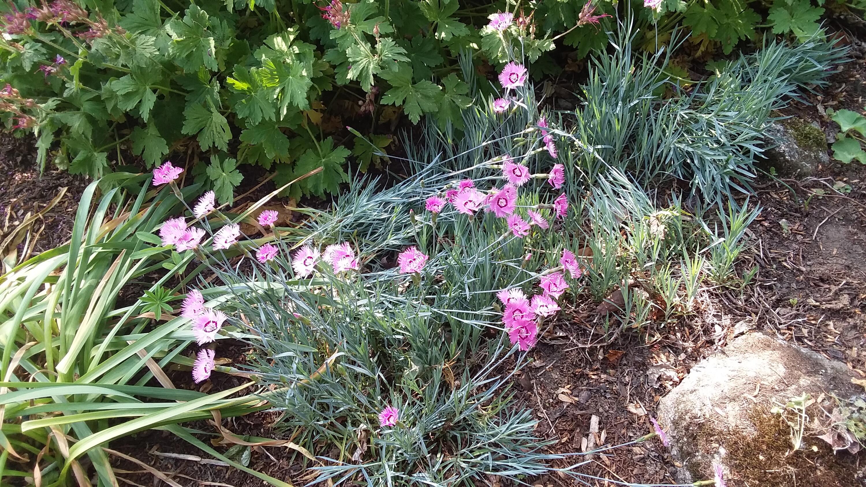 71 Upper-Charleston Road Charleston, ME 04422 - Photo 171 of 184 20210613_152613