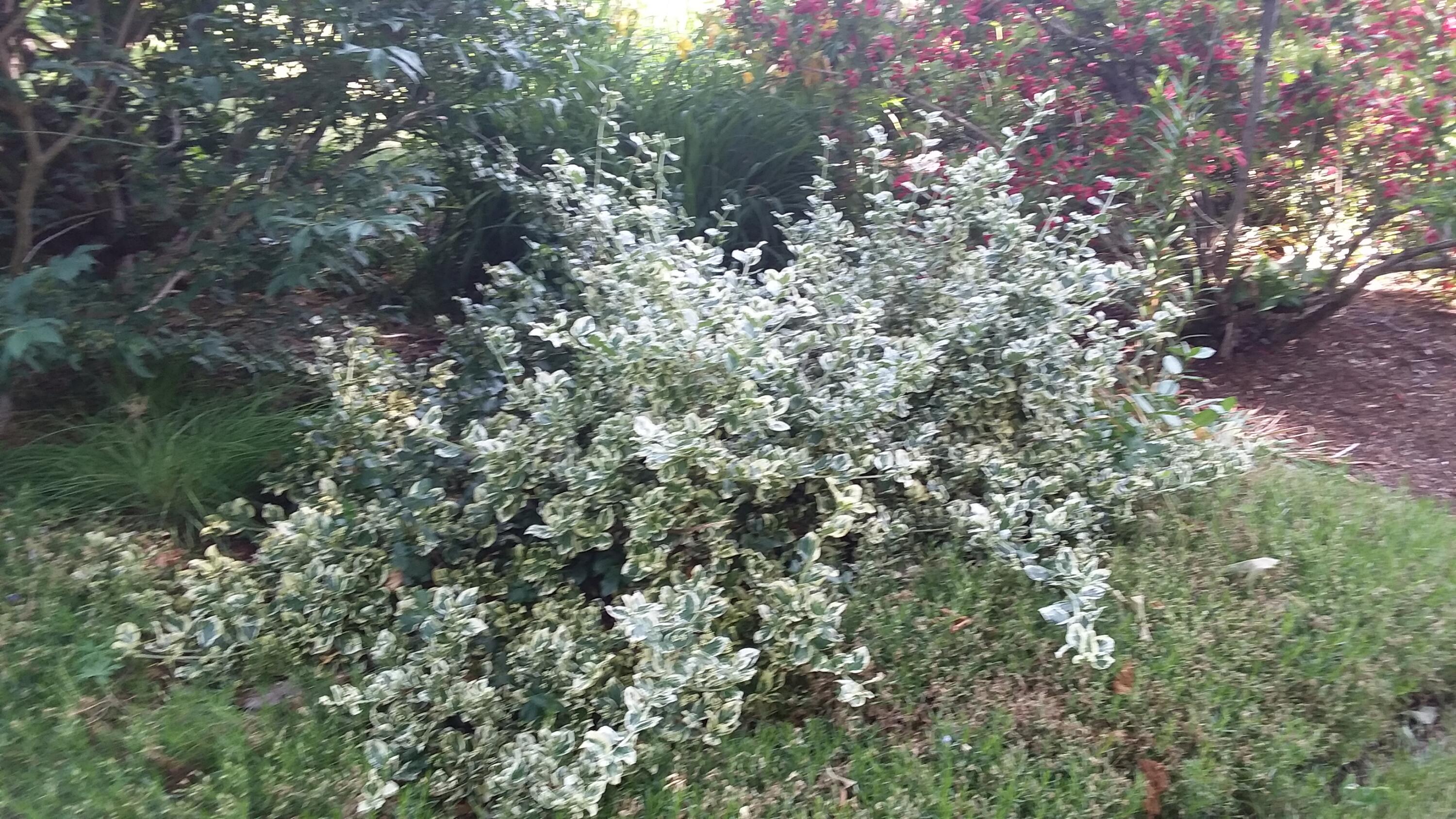 71 Upper-Charleston Road Charleston, ME 04422 - Photo 173 of 184 20210613_152632