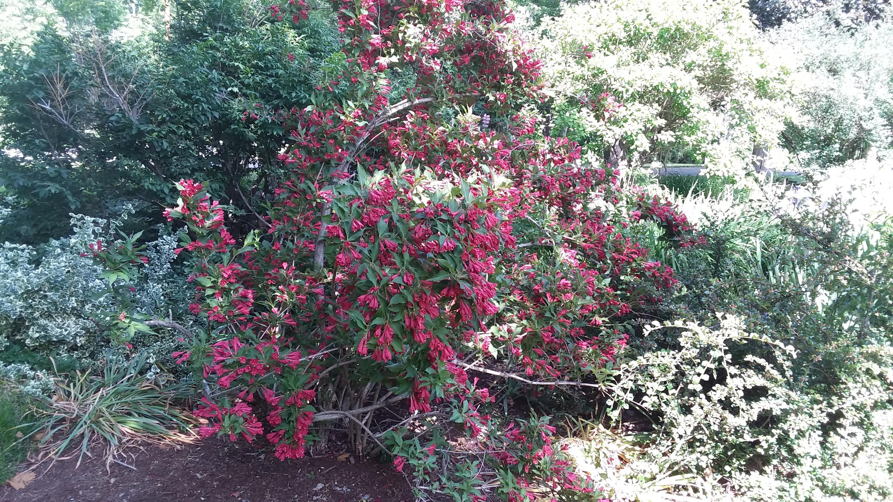 71 Upper-Charleston Road Charleston, ME 04422 - Photo 174 of 184 20210613_152646