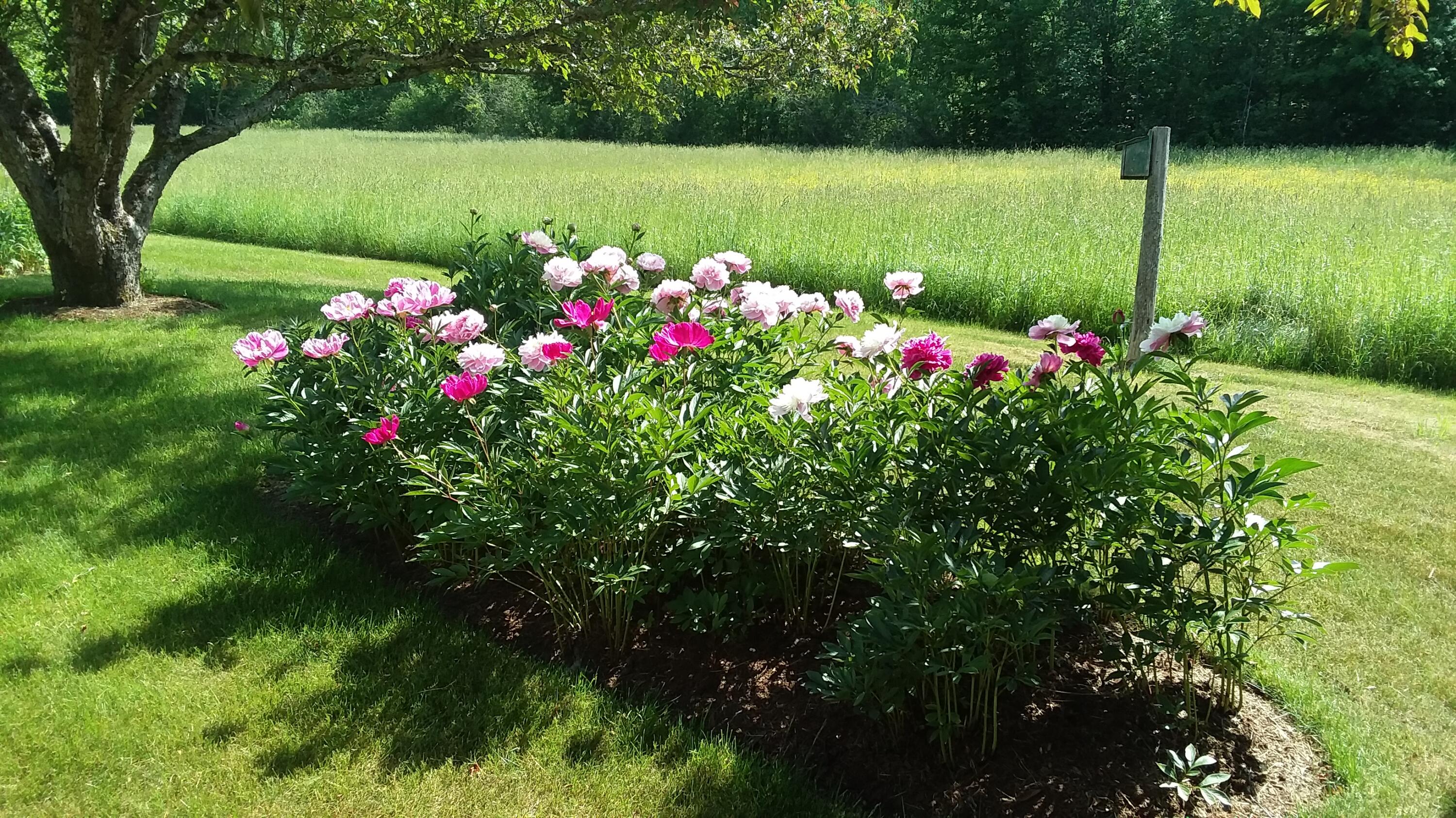 71 Upper-Charleston Road Charleston, ME 04422 - Photo 175 of 184 20210613_152828