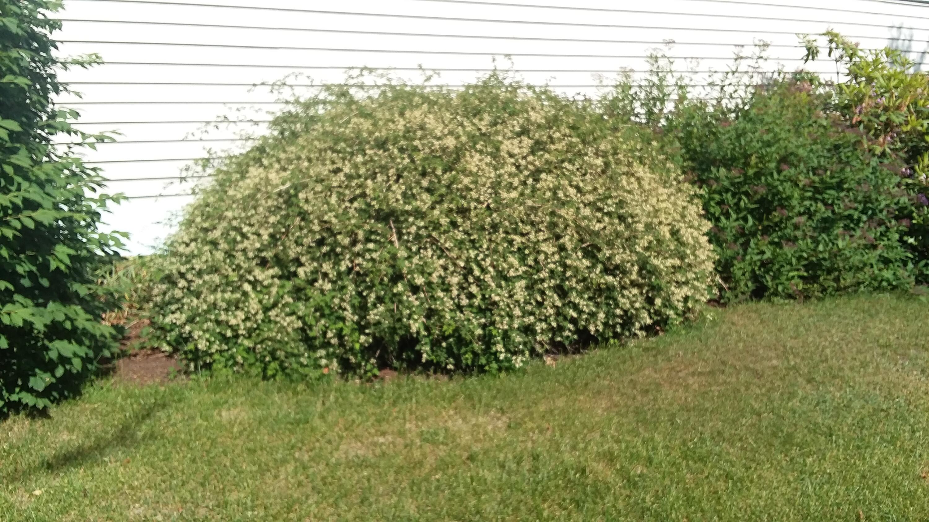 71 Upper-Charleston Road Charleston, ME 04422 - Photo 176 of 184 20210613_152857