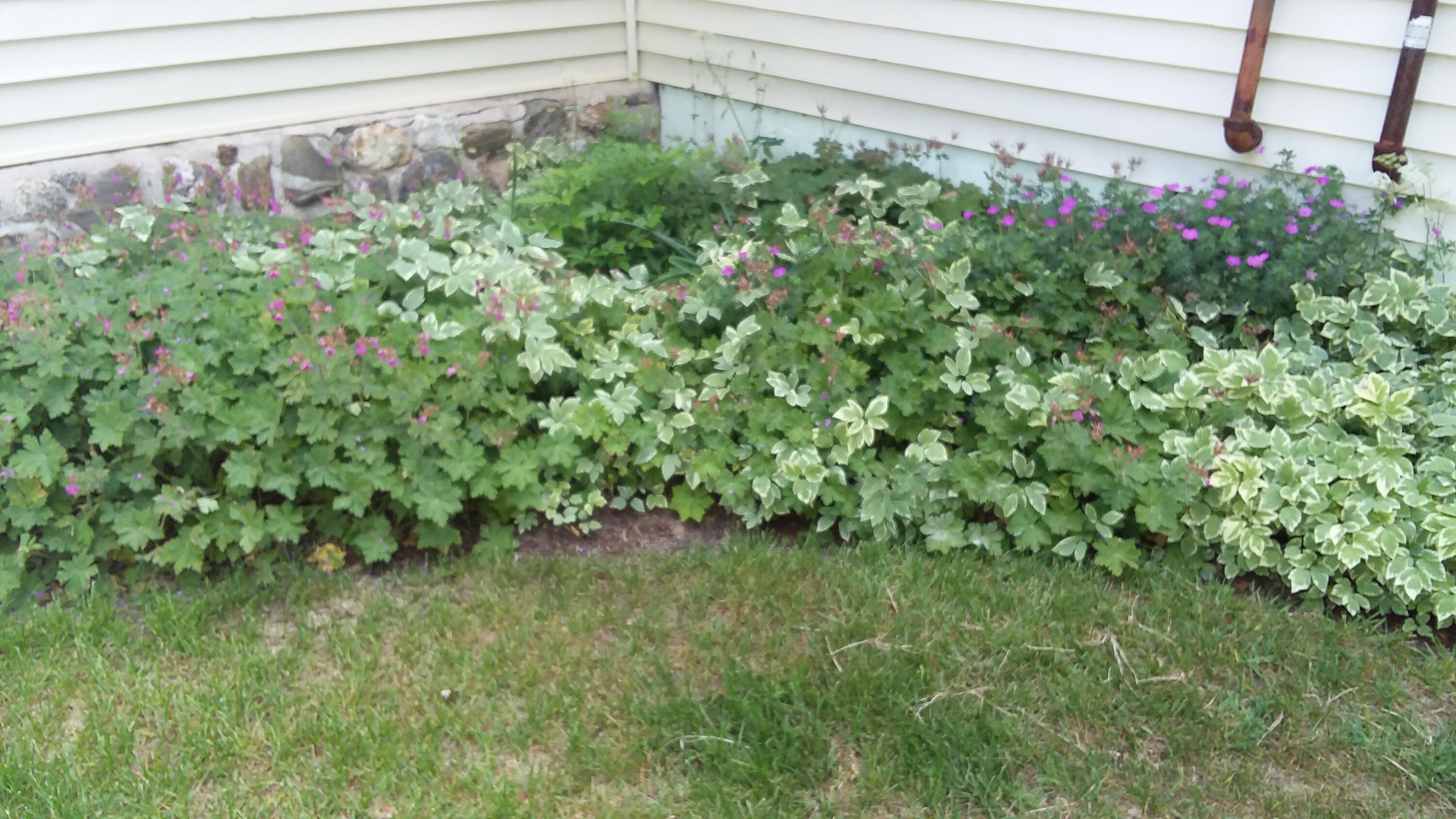 71 Upper-Charleston Road Charleston, ME 04422 - Photo 178 of 184 20210613_153656