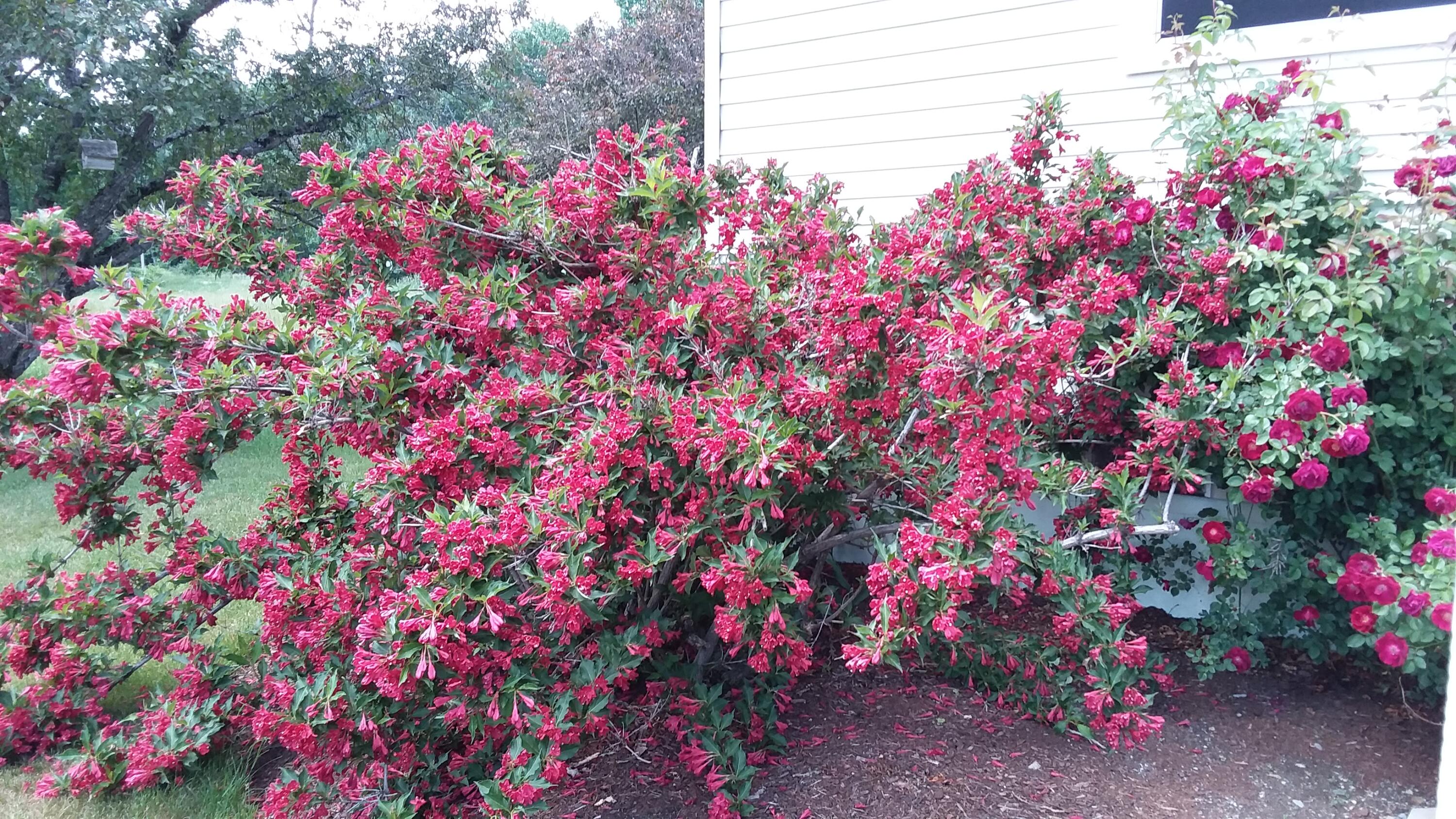 71 Upper-Charleston Road Charleston, ME 04422 - Photo 180 of 184 20210616_133444