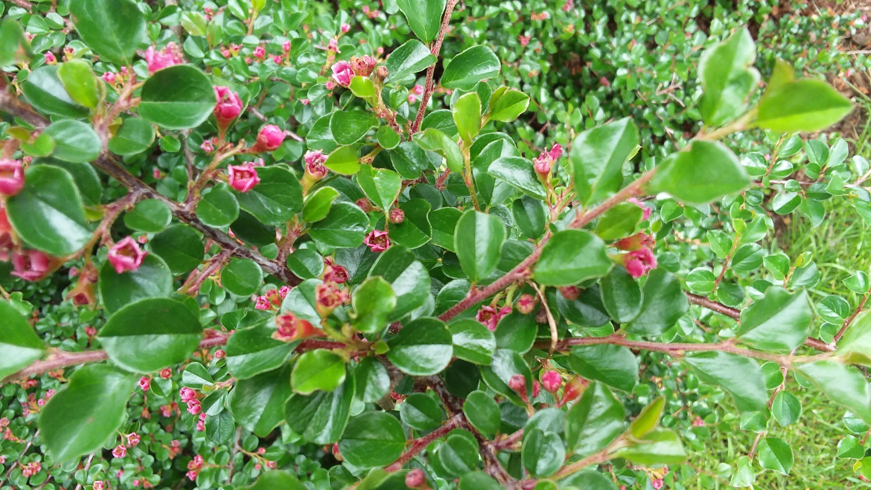 71 Upper-Charleston Road Charleston, ME 04422 - Photo 18 of 184 20210603_155925