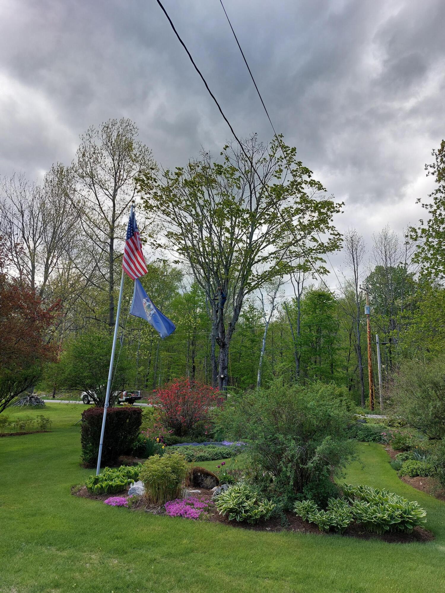 71 Upper-Charleston Road Charleston, ME 04422 - Photo 184 of 184 20220517_163340