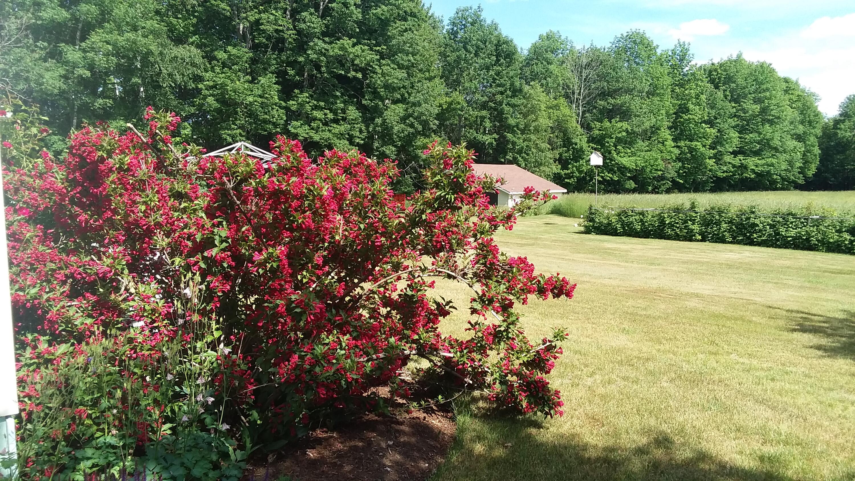 71 Upper-Charleston Road Charleston, ME 04422 - Photo 19 of 184 20210613_153002