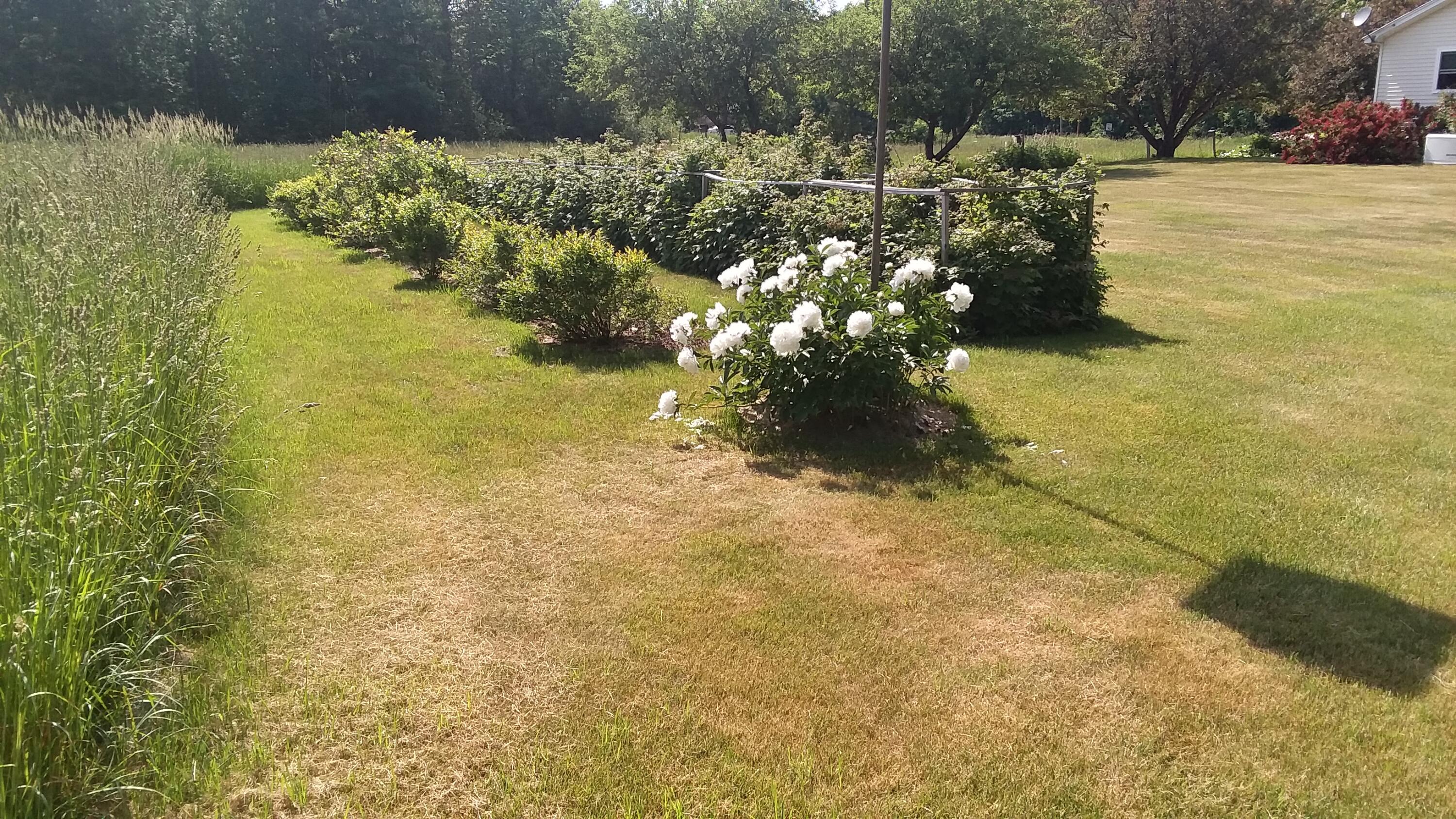 71 Upper-Charleston Road Charleston, ME 04422 - Photo 20 of 184 20210613_153225