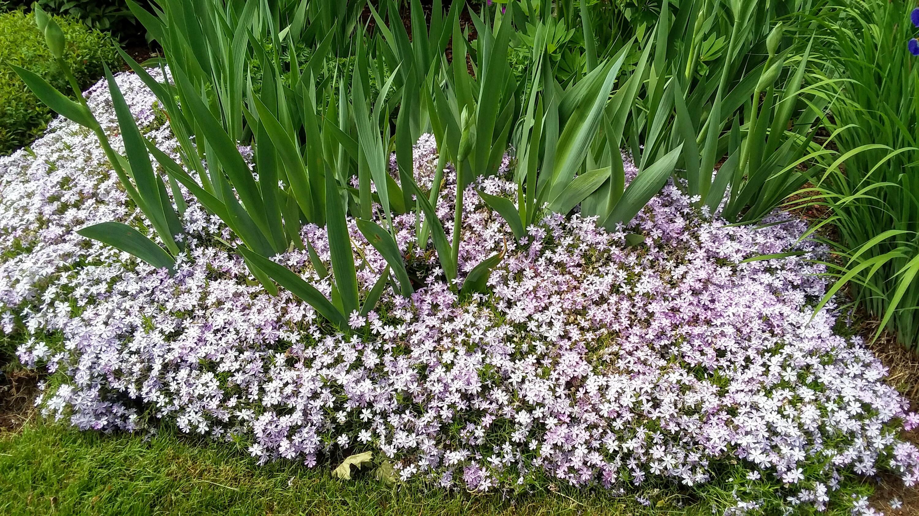 71 Upper-Charleston Road Charleston, ME 04422 - Photo 22 of 184 20210530_122219