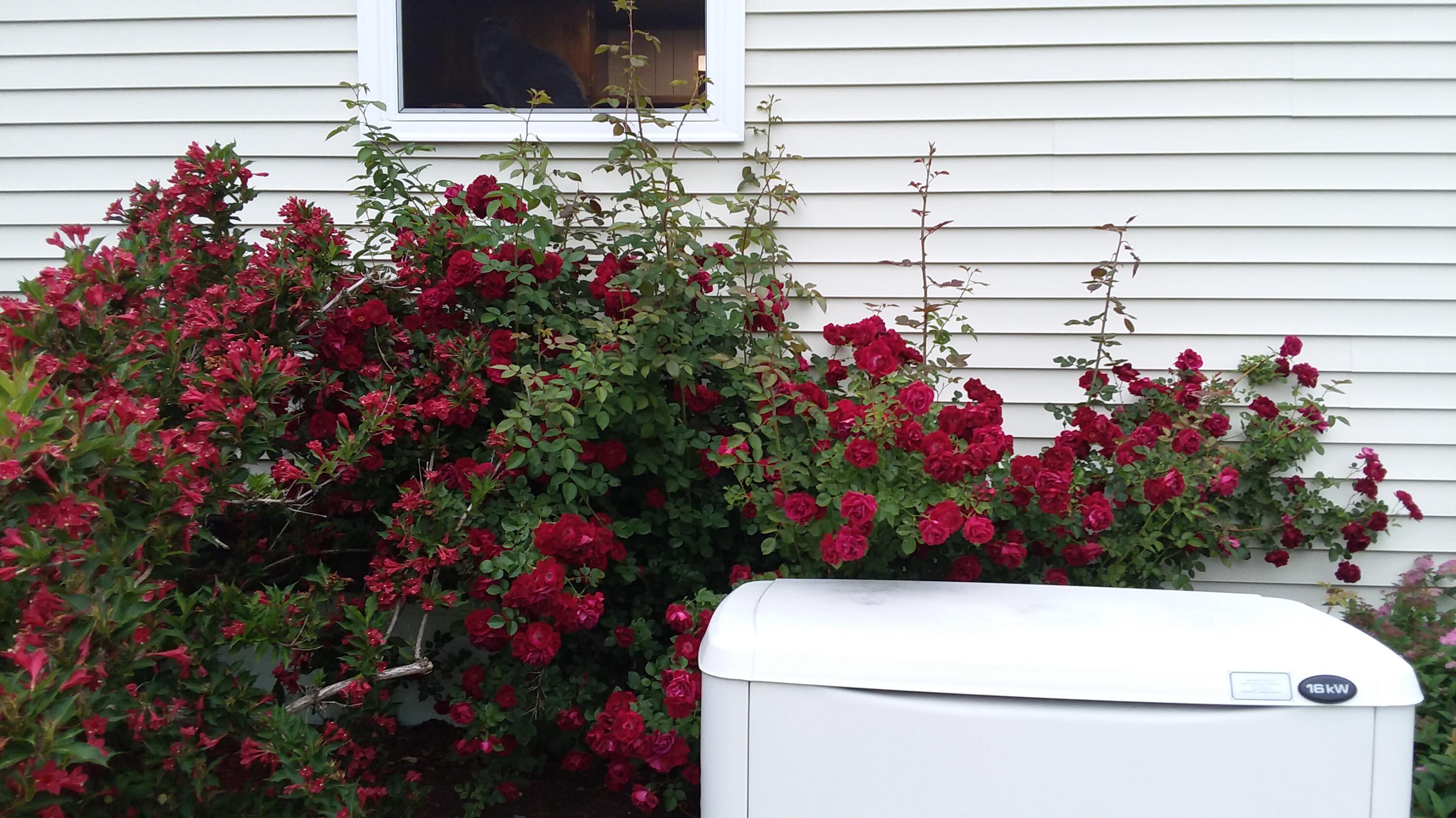 71 Upper-Charleston Road Charleston, ME 04422 - Photo 29 of 184 20210622_064359