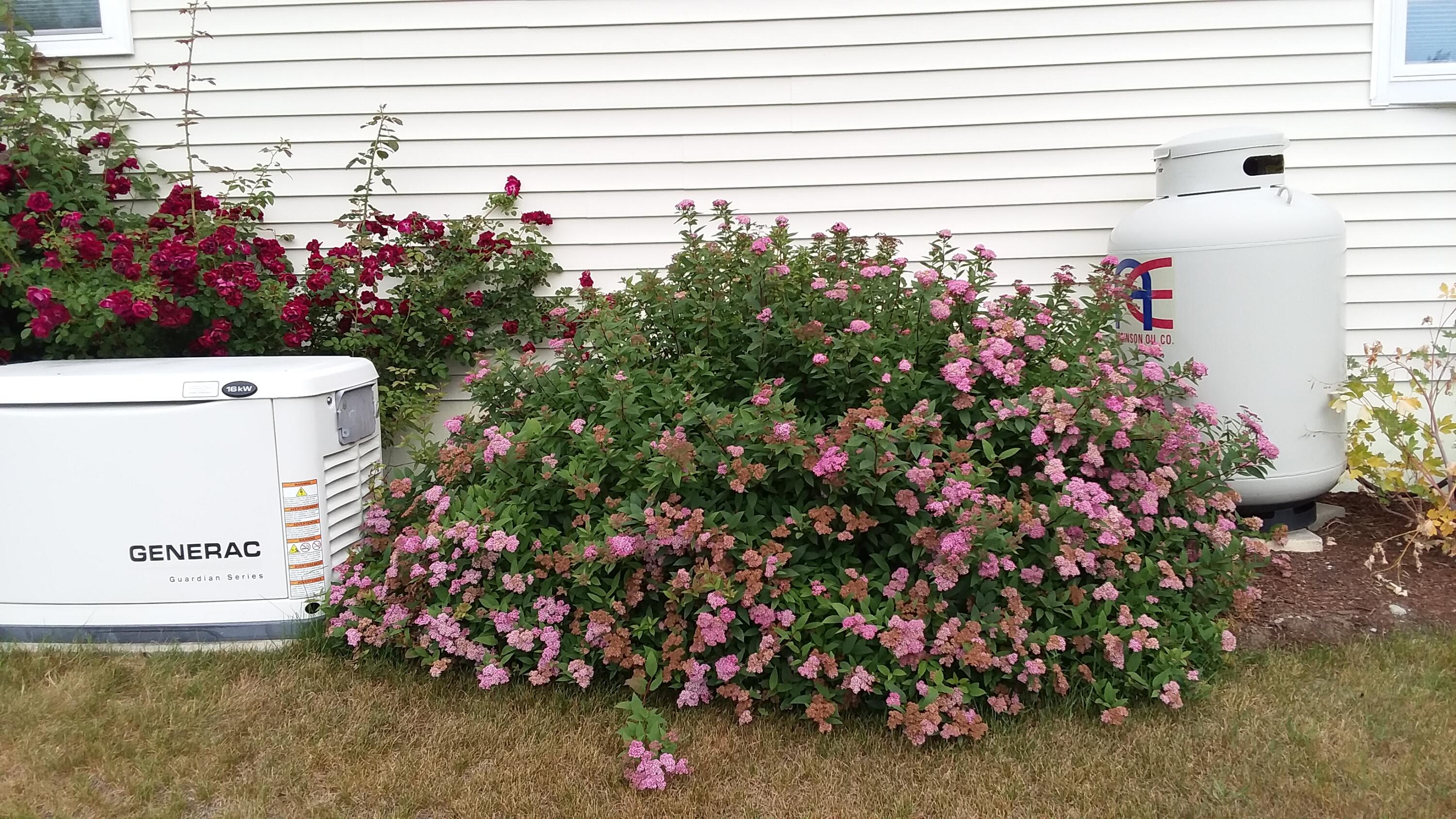 71 Upper-Charleston Road Charleston, ME 04422 - Photo 30 of 184 20210628_101225