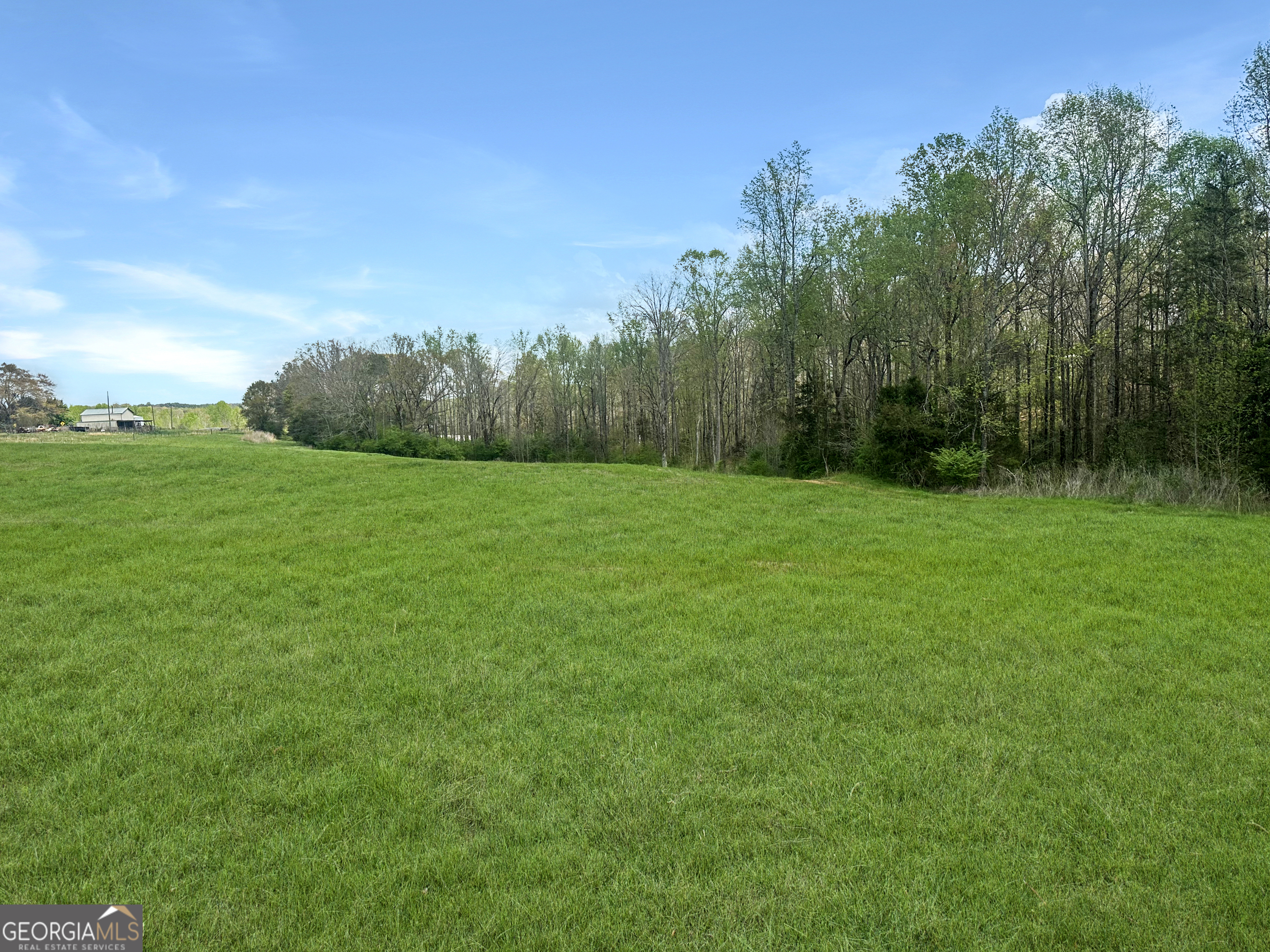 a view of a grassy field with trees in the background