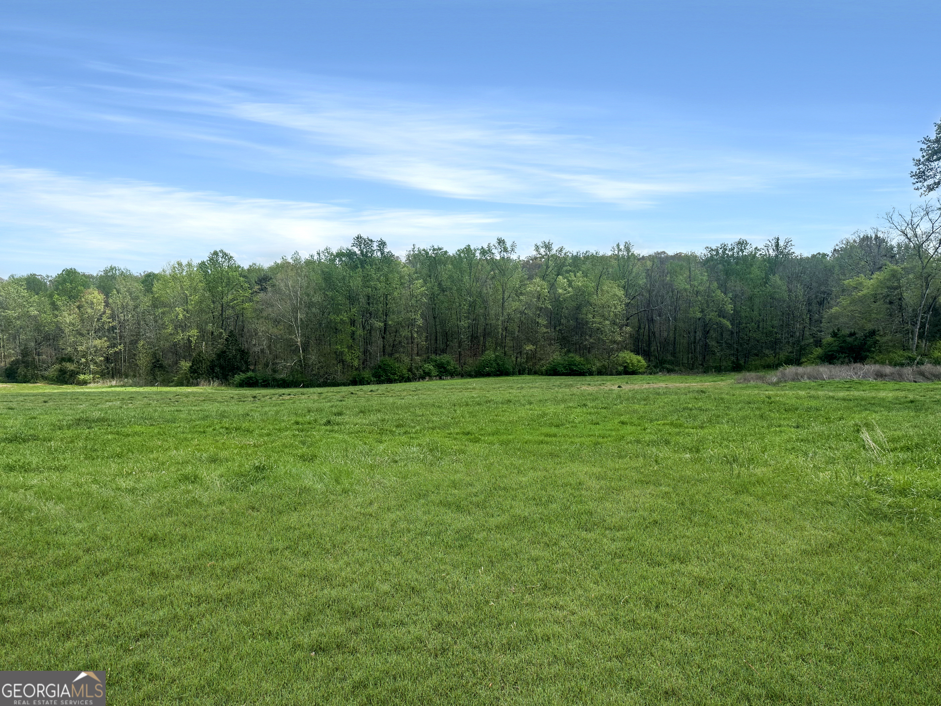 961 Goose Neck Road, Unit LOT 3 Eastanollee, GA 30538 - Photo 4 of 13 a view of grassy field with trees in the background