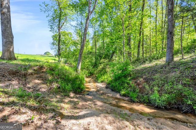 961 Goose Neck Road, Unit LOT 3 Eastanollee, GA 30538 - Photo 6 of 13 a view of a yard with plants and large trees