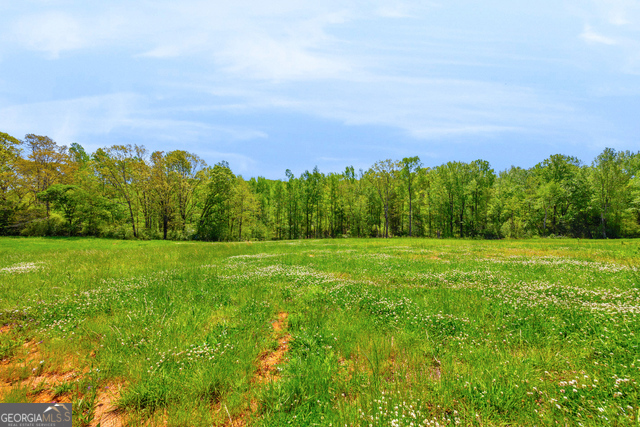 961 Goose Neck Road, Unit LOT 3 Eastanollee, GA 30538 - Photo 8 of 13 a view of a field of grass and trees