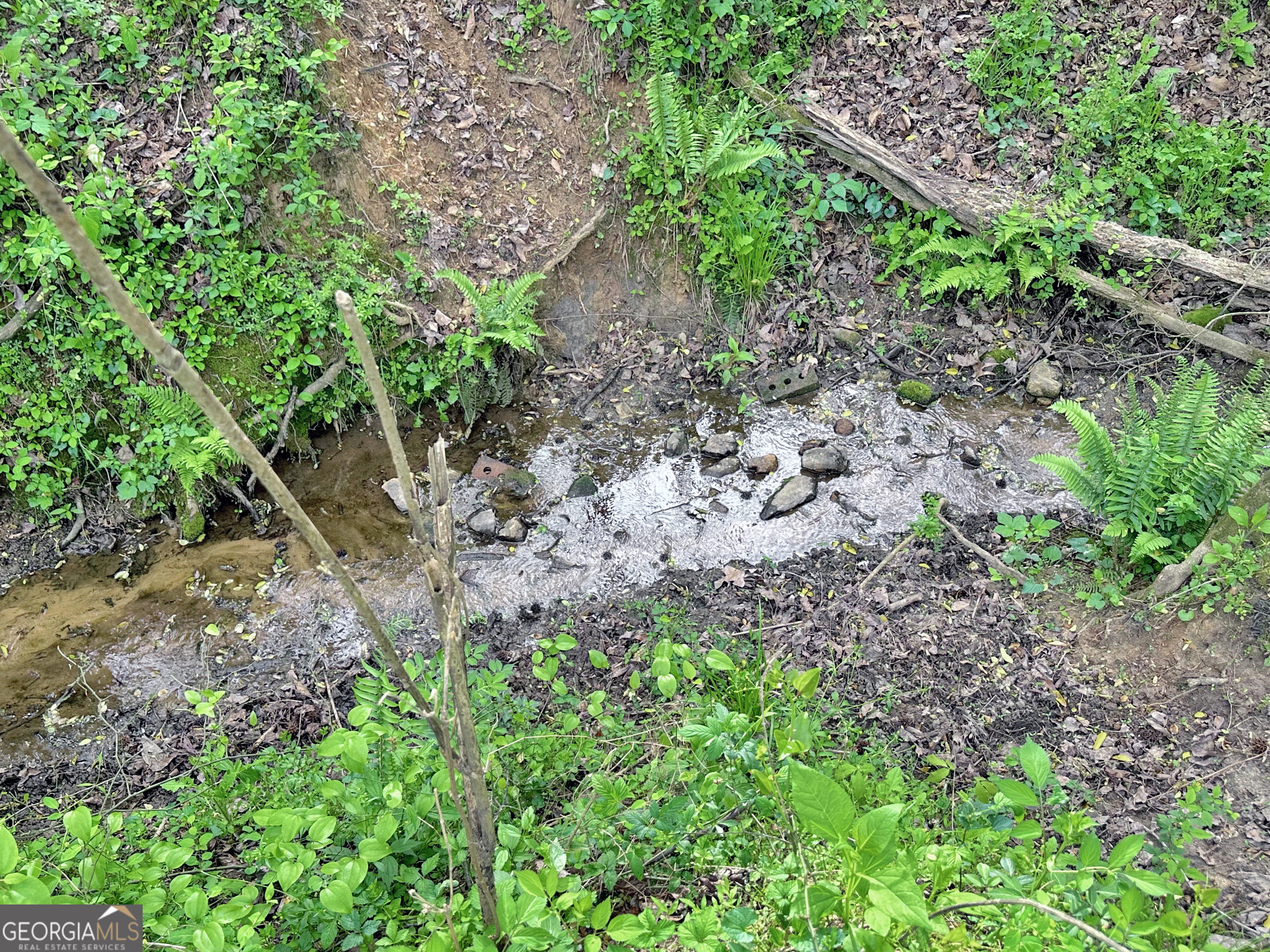 961 Goose Neck Road, Unit LOT 3 Eastanollee, GA 30538 - Photo 10 of 13 a view of a garden with plants