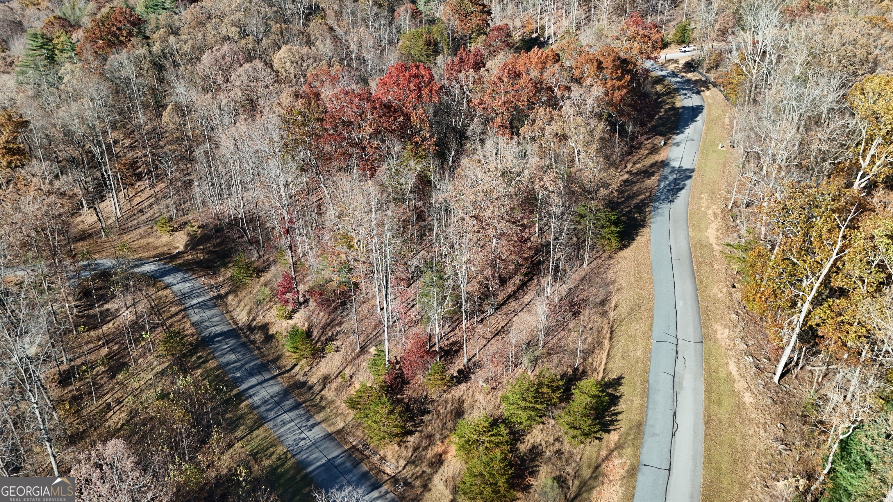 Lot 196 Springwinds Drive Cleveland, GA 30528 - Photo 4 of 5 a view of a city with tall trees
